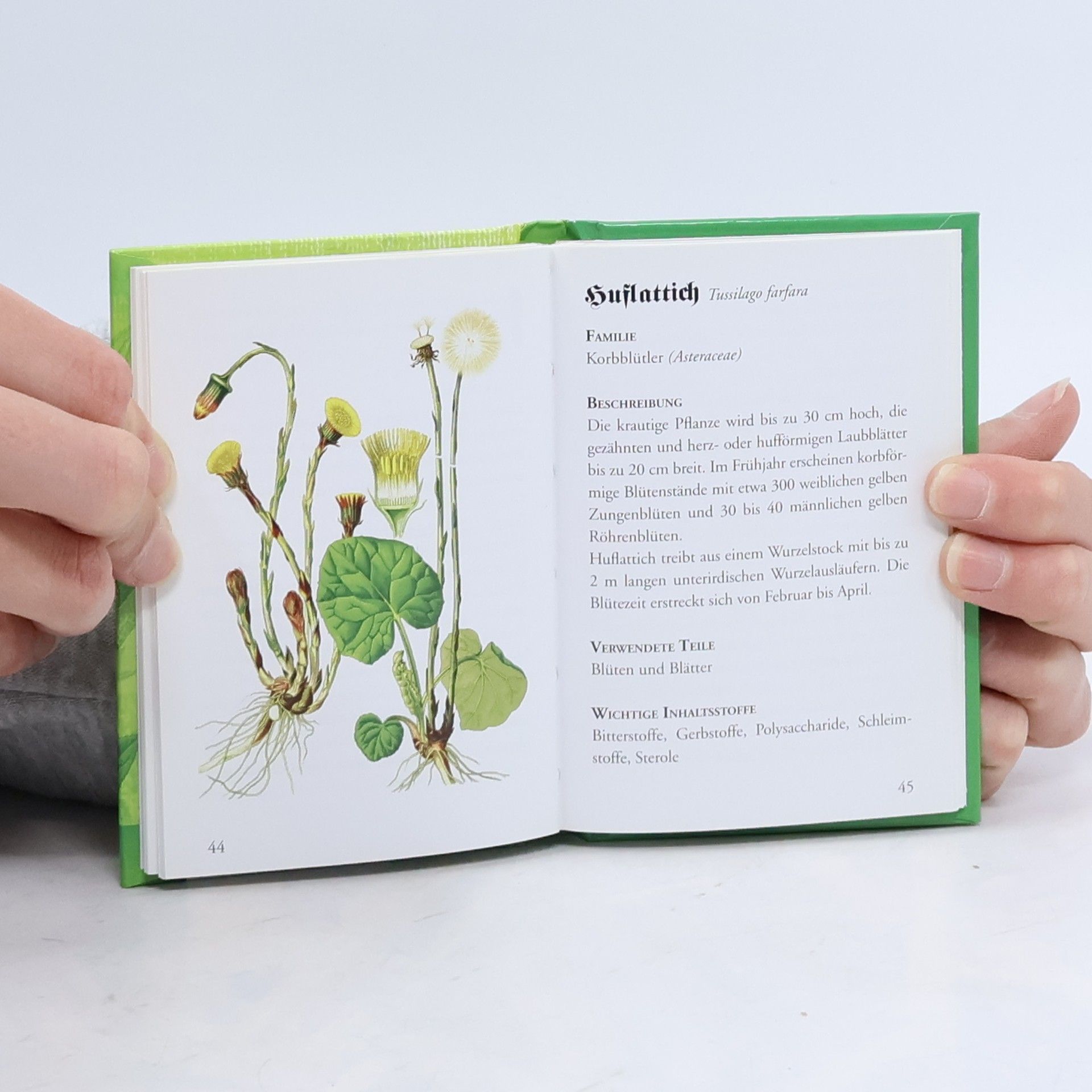 Eckart Pontow Klassische Heilkräuter und Rezepte