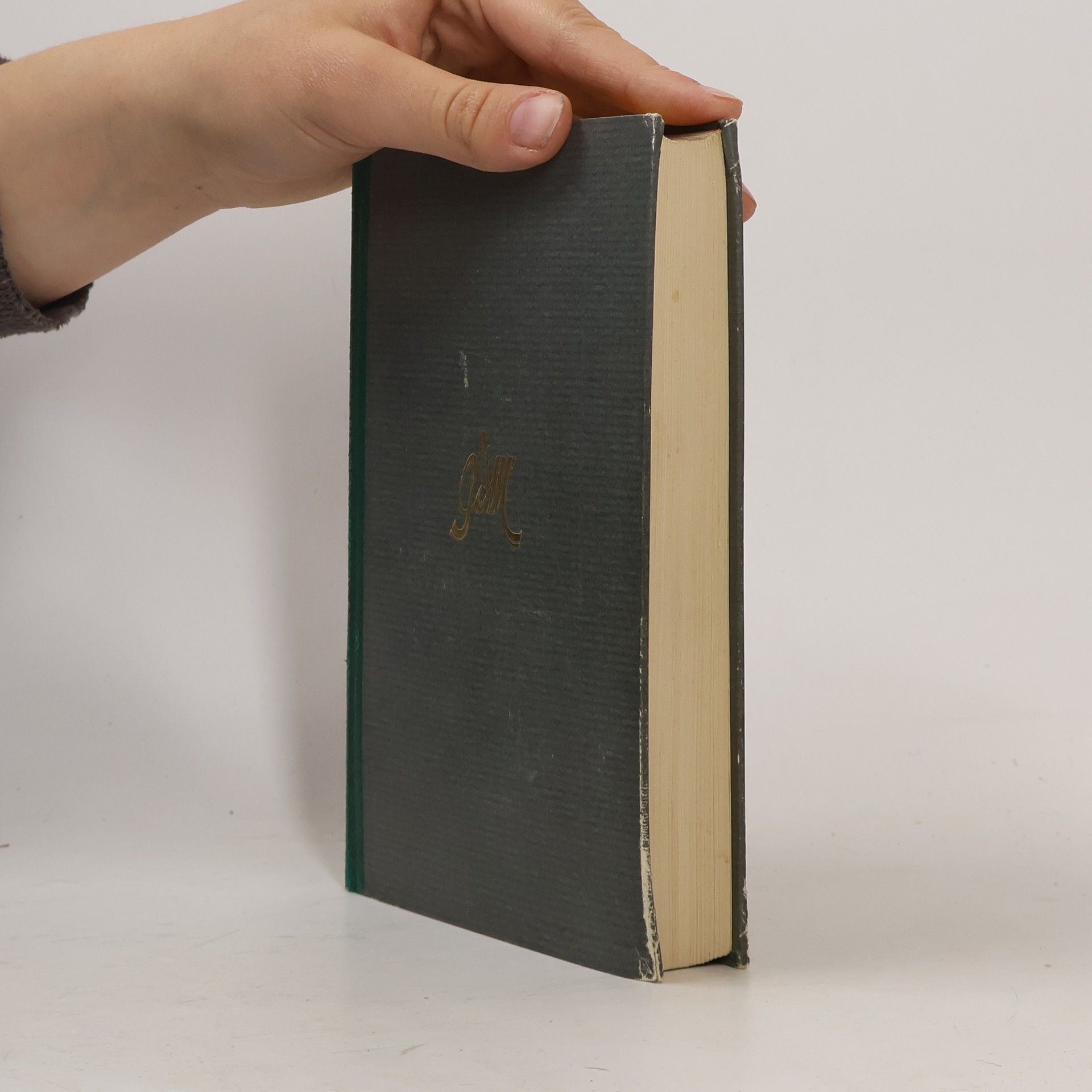 Guy de Maupassant  Der schöne Freund