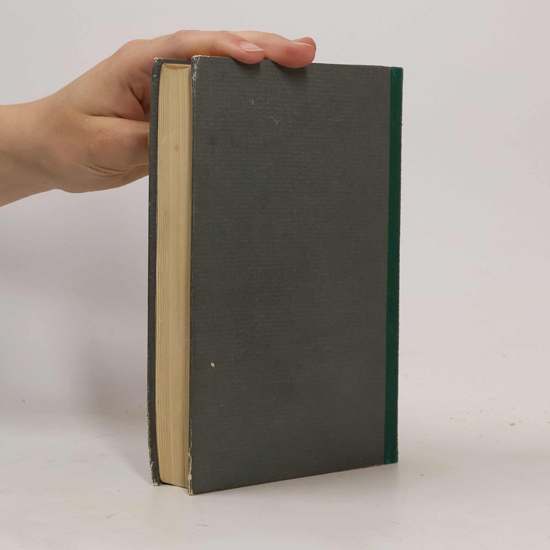 Guy de Maupassant  Der schöne Freund