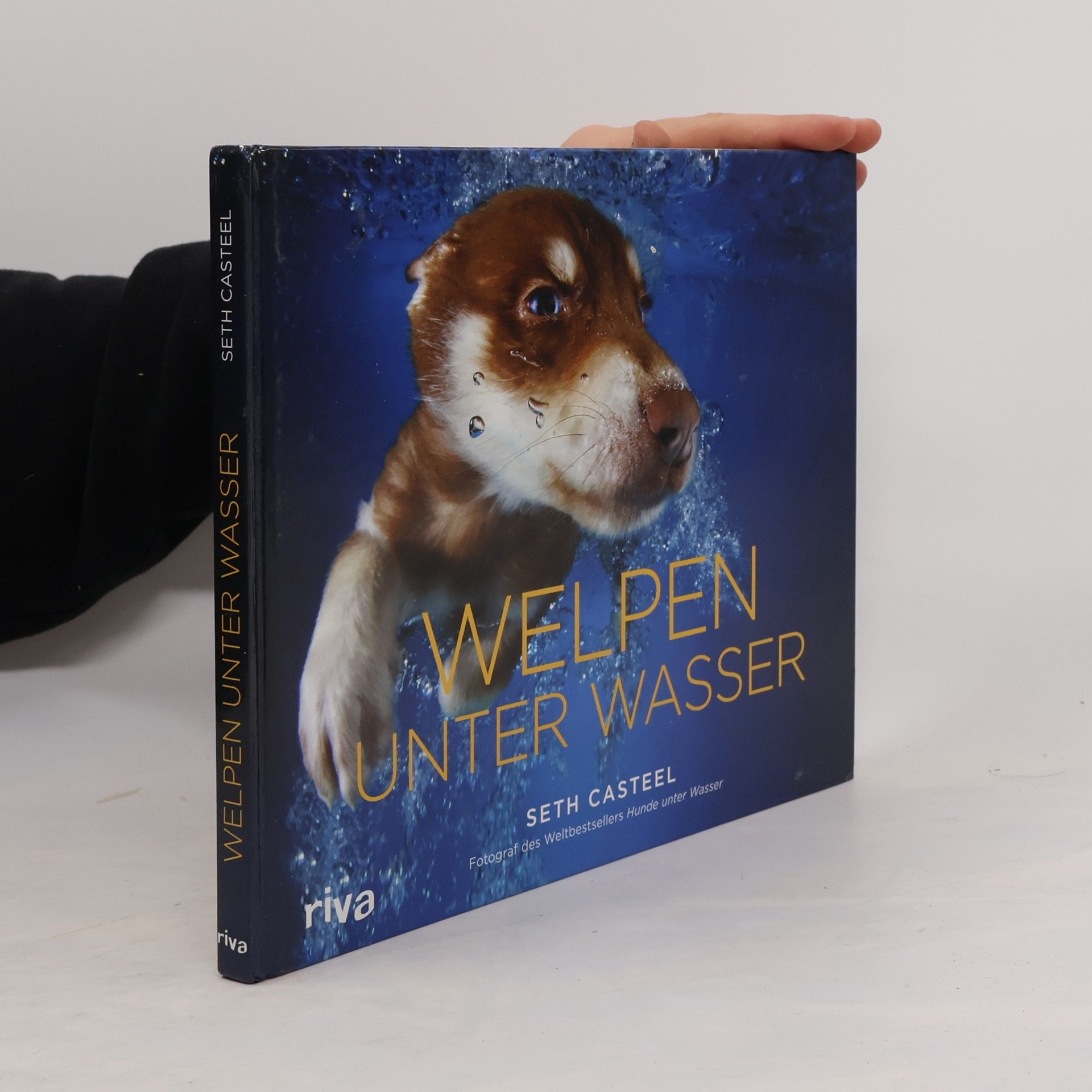 Seth Casteel Welpen unter Wasser