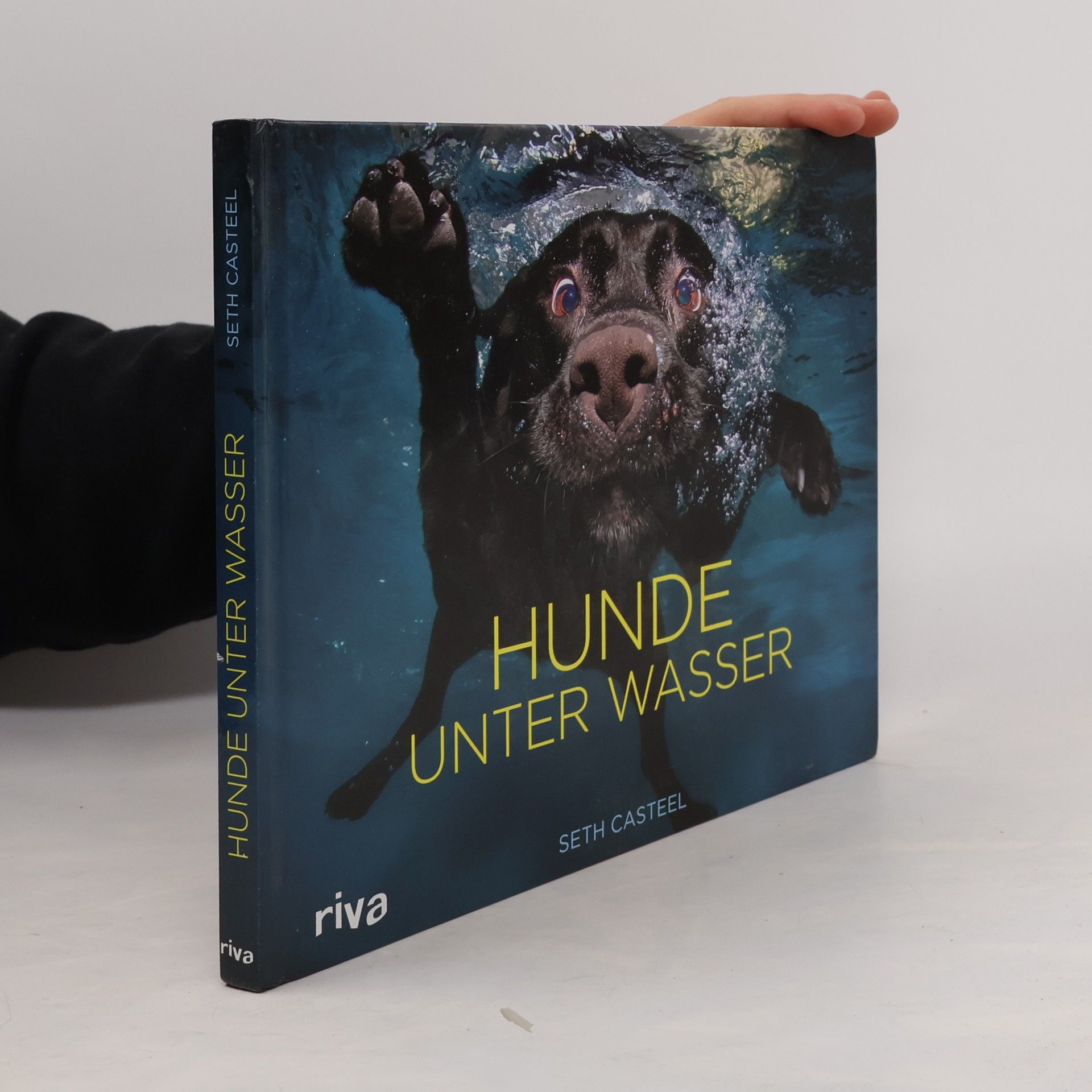 Seth Casteel Hunde unter Wasser