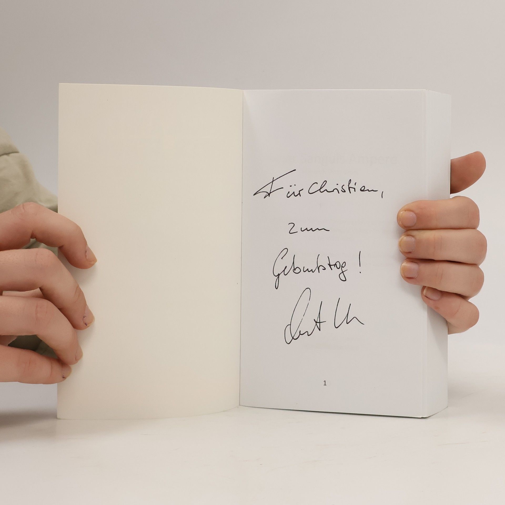 Autorenkollektiv Highlands unter Strom