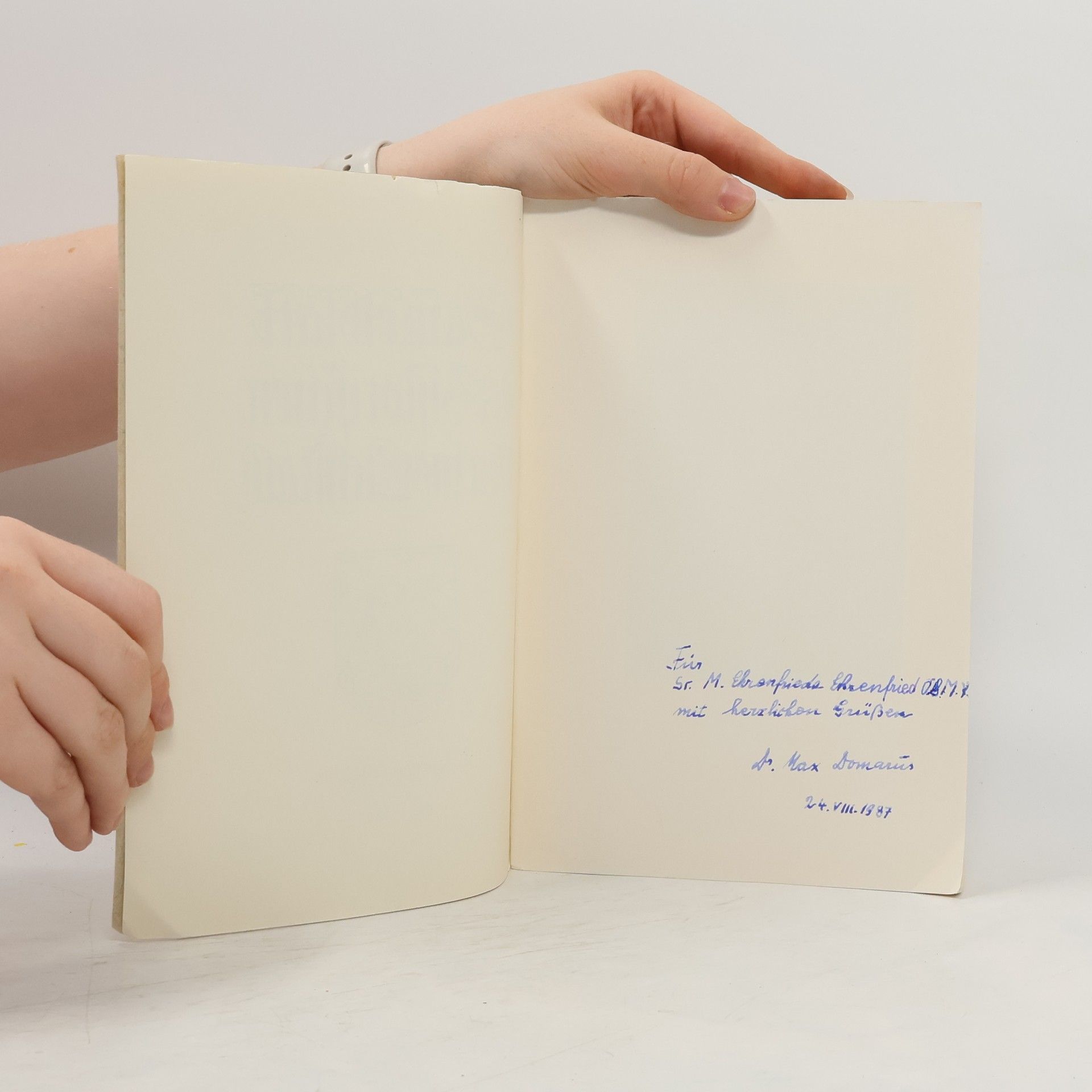 Kolektív autorov Sammelblatt des Historischen Vereins Eichstätt