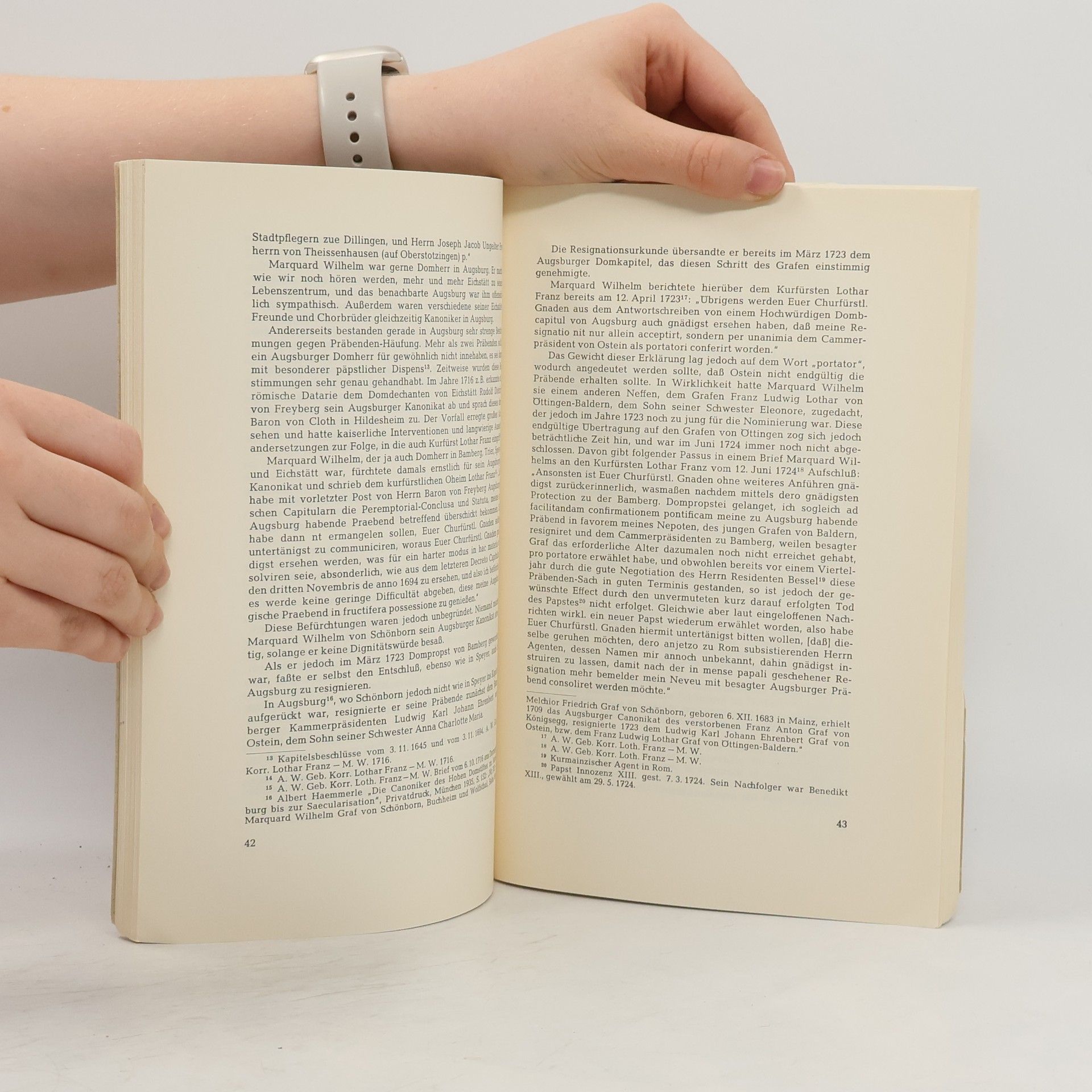 Kolektív autorov Sammelblatt des Historischen Vereins Eichstätt
