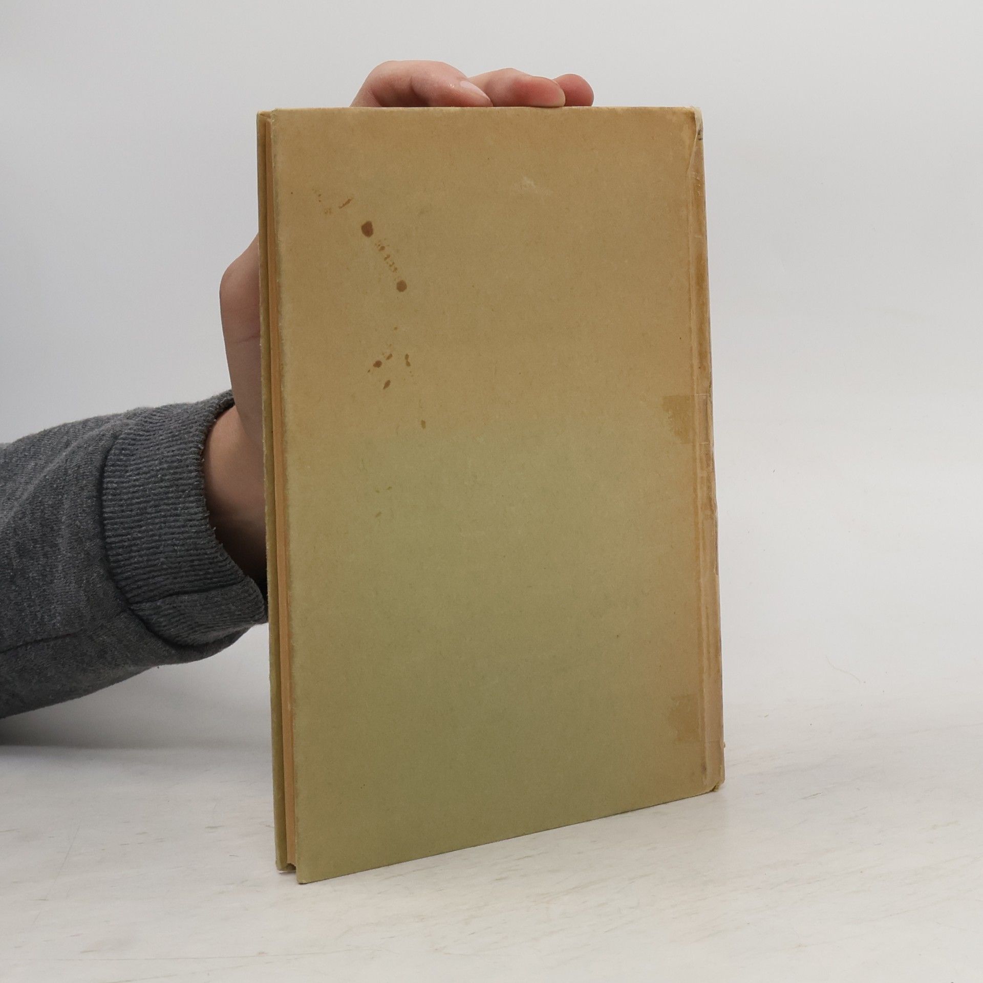 Georg Warnecke Vorschule der Kunstgeschichte