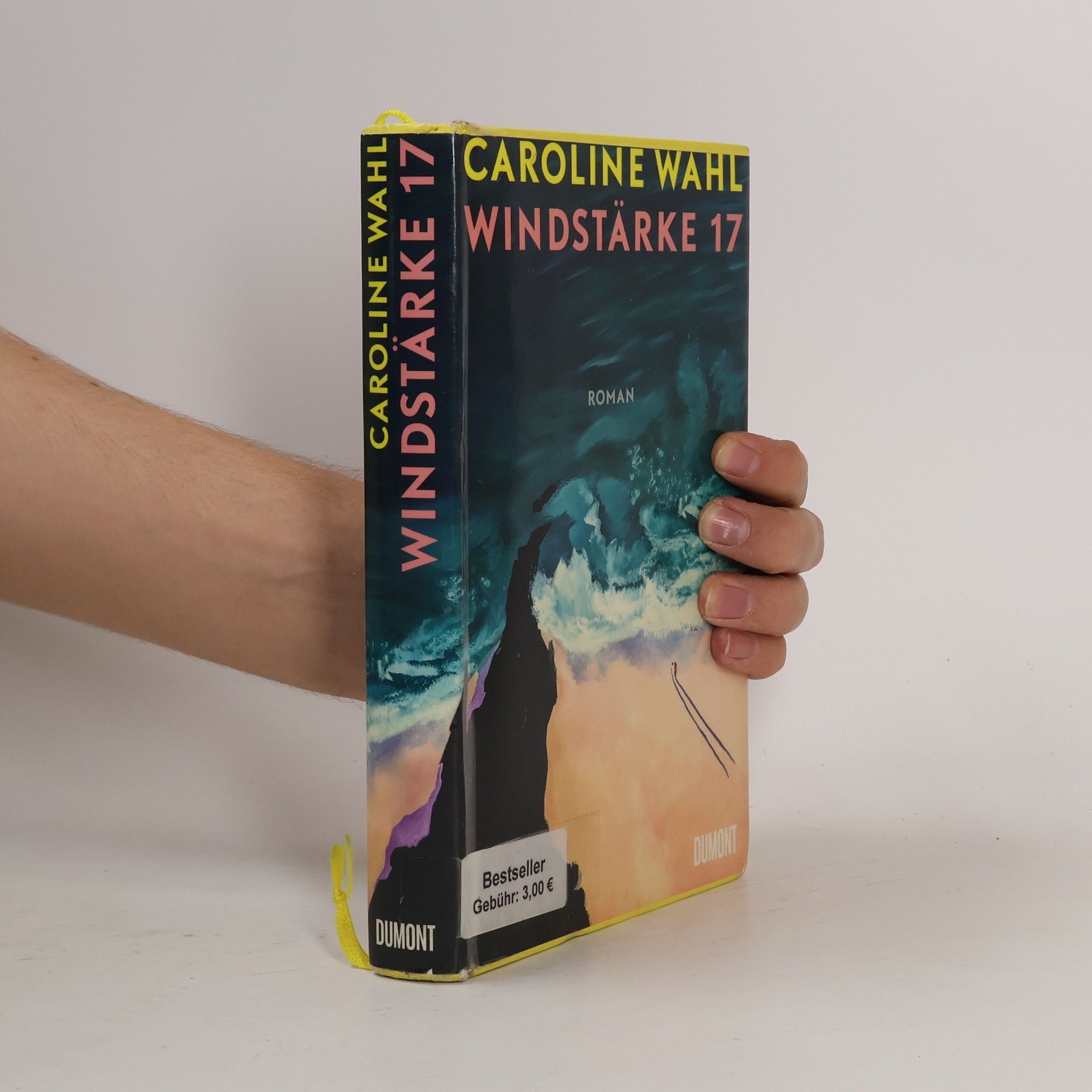 Caroline Wahl Windstärke 17