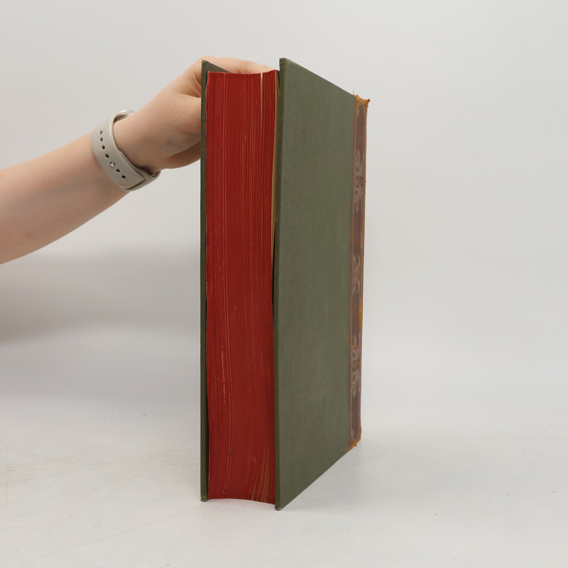 Various authors Illustrierte Geschichte der Deutschen Literatur. Band 1