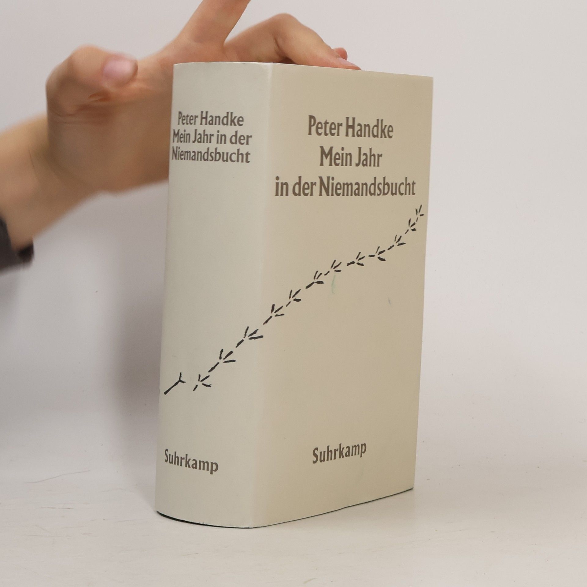 Peter Handke Mein Jahr in der Niemandsbucht