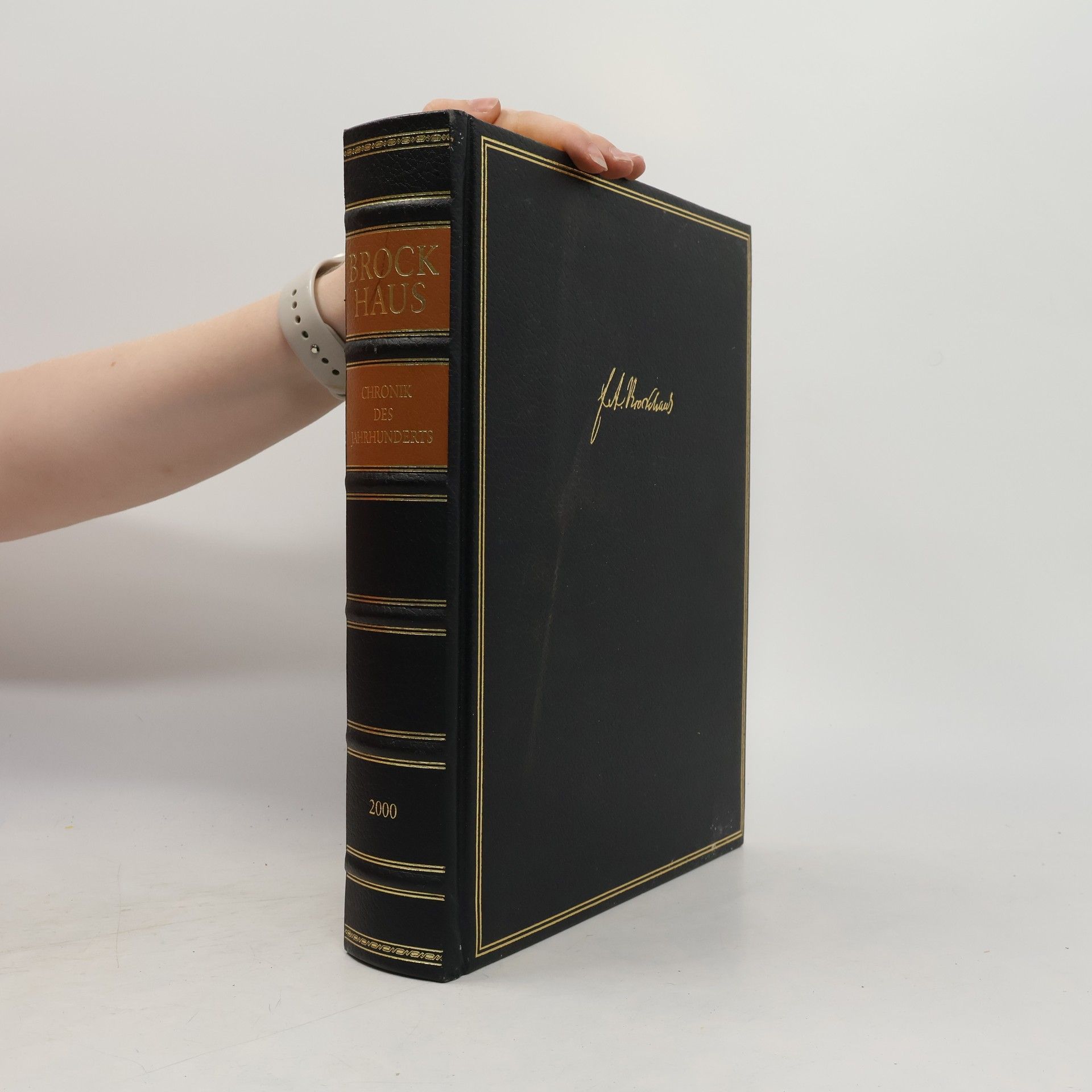 Kolektiv autorů Brockhaus. Chronik des Jahrhunderts