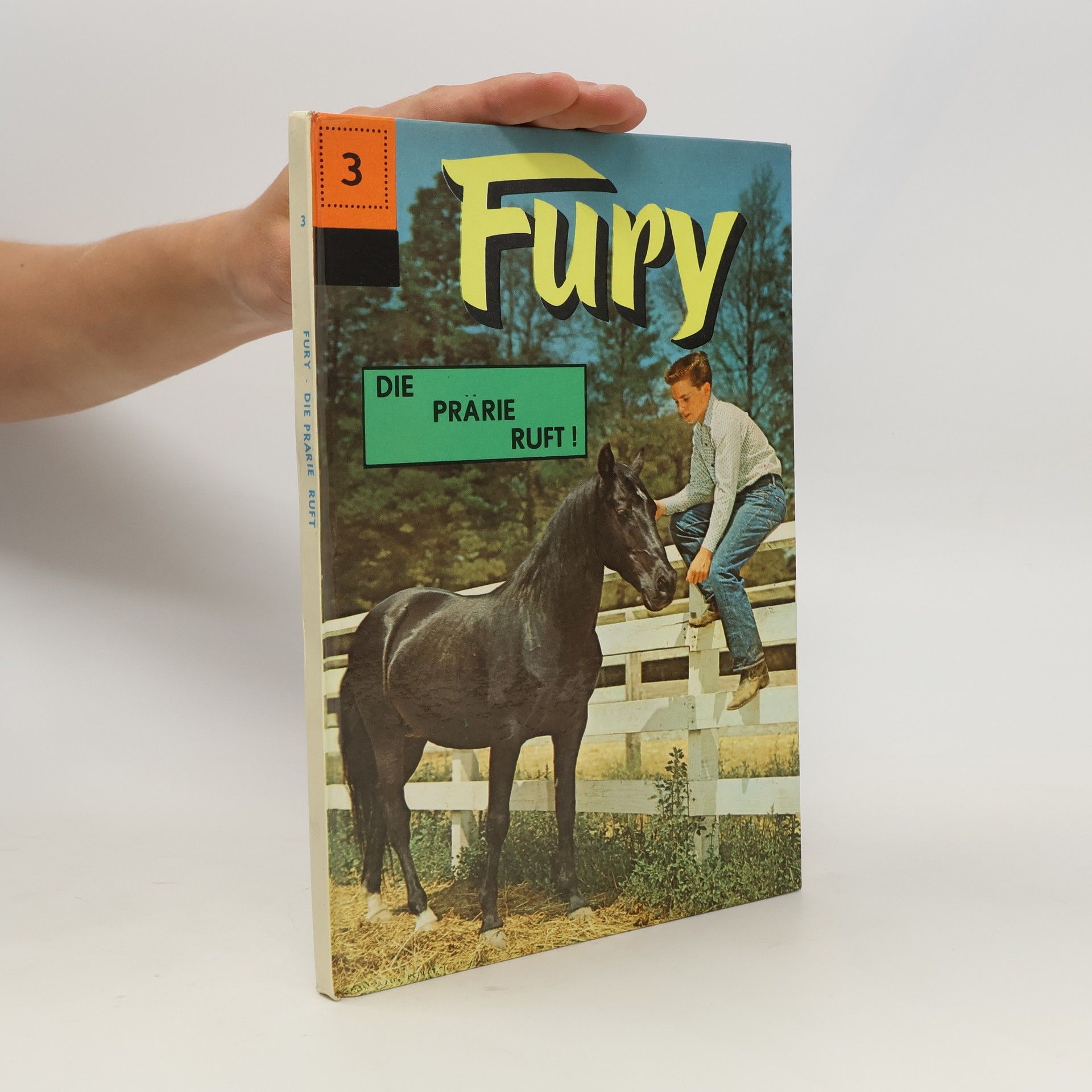 René van Nerum Fury