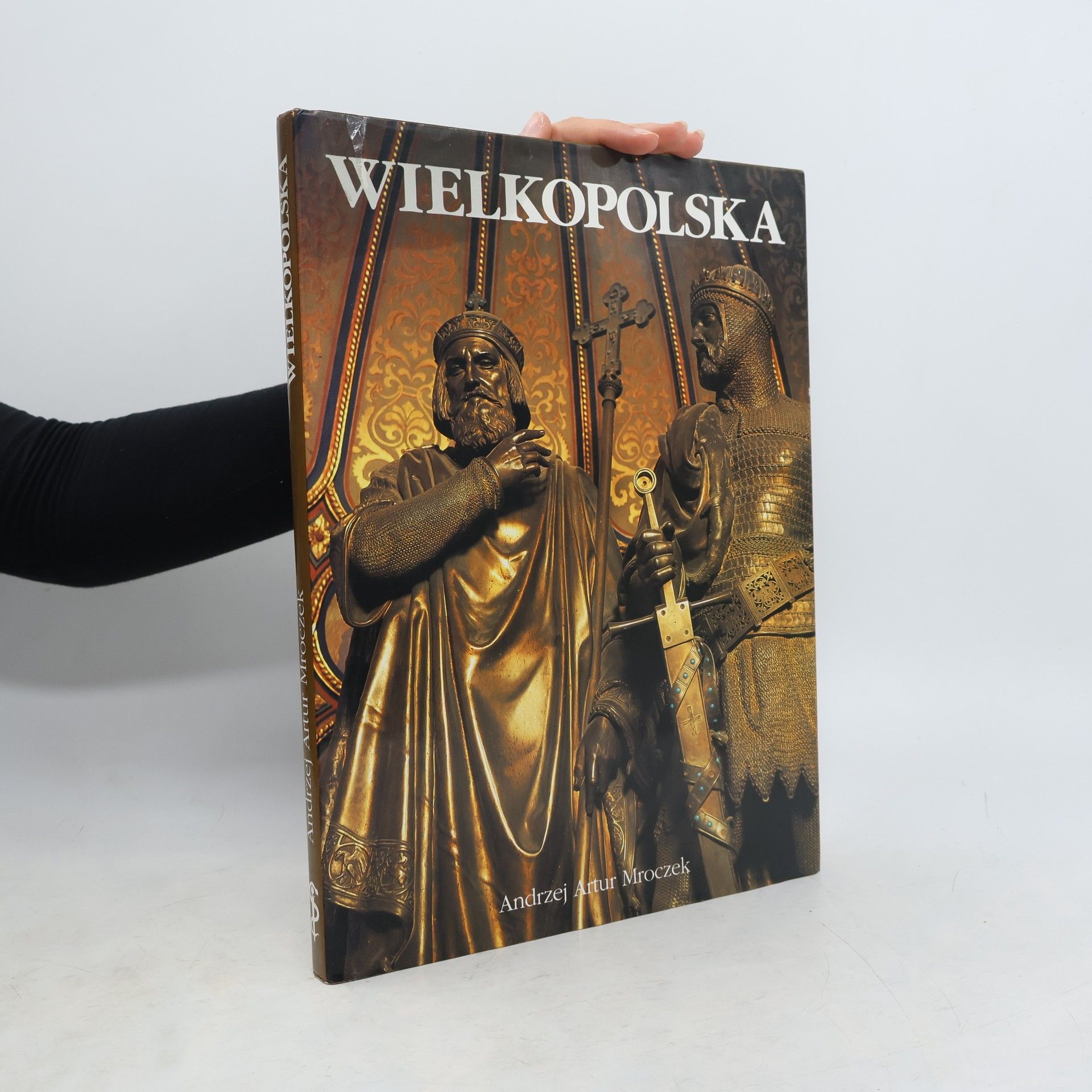 Andrzej Artur Mroczek Wielkopolska