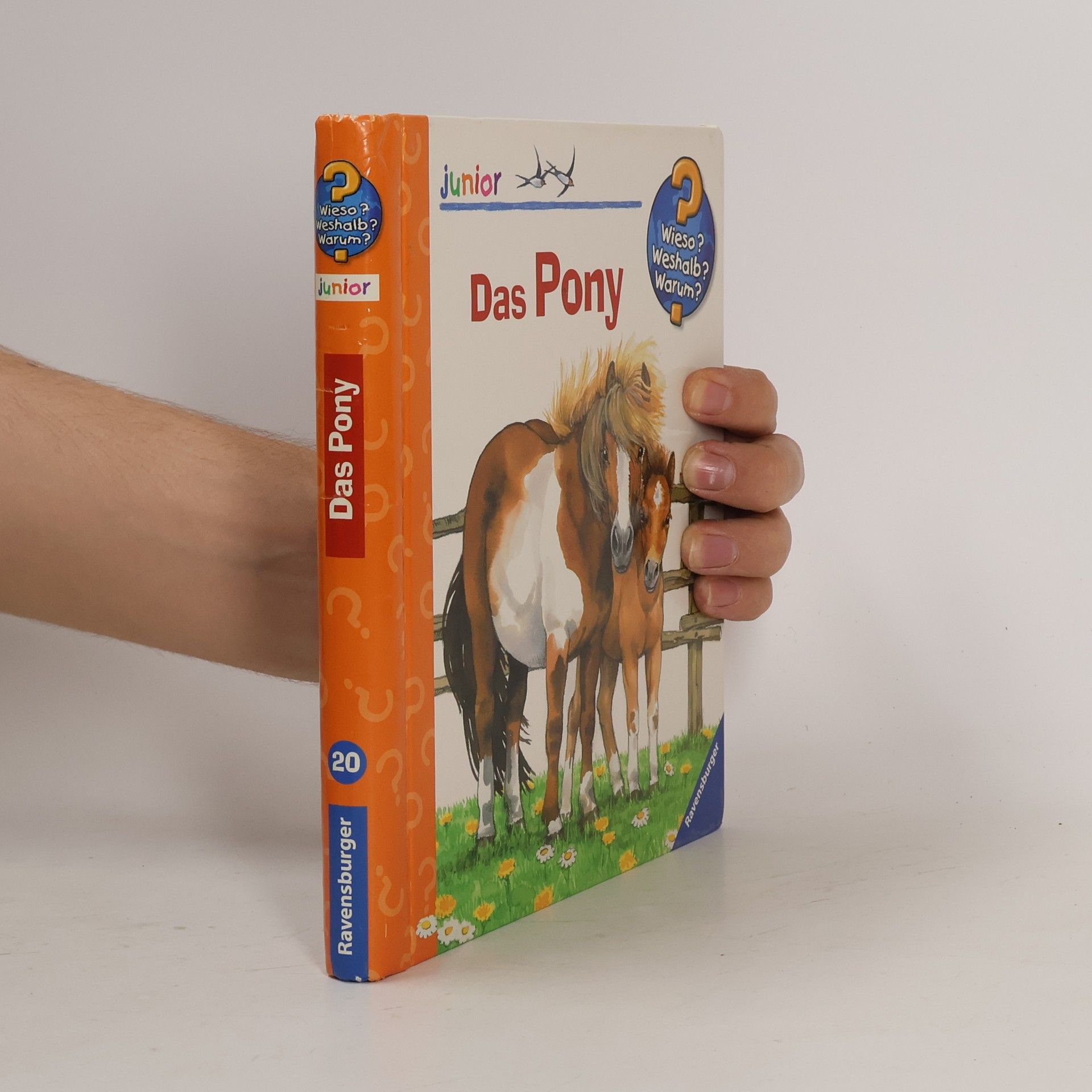Thea Roß Das Pony