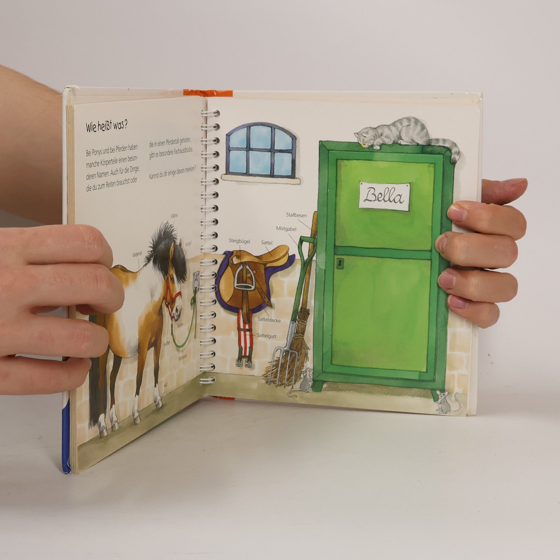 Thea Roß Das Pony