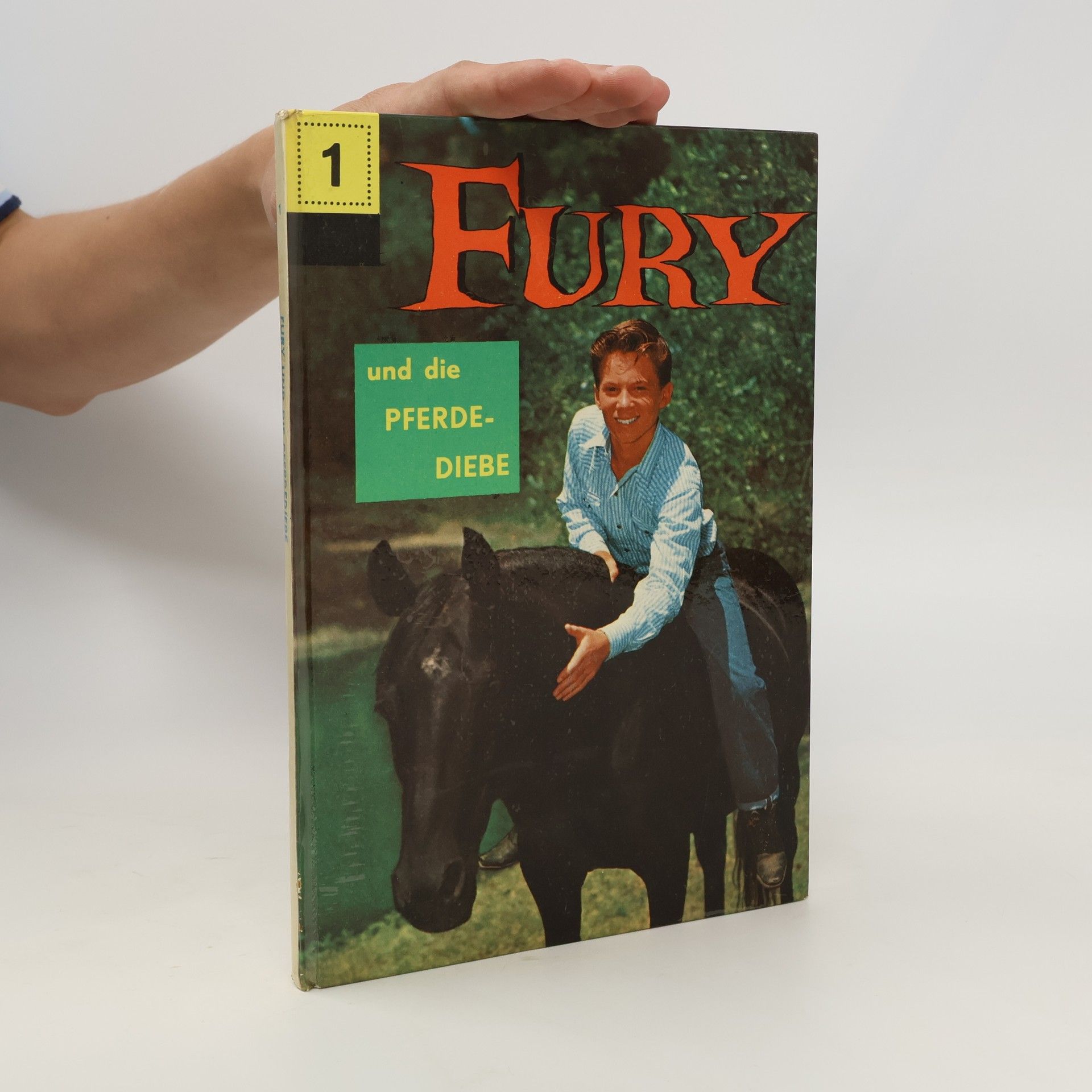 René van Nerum Fury 1