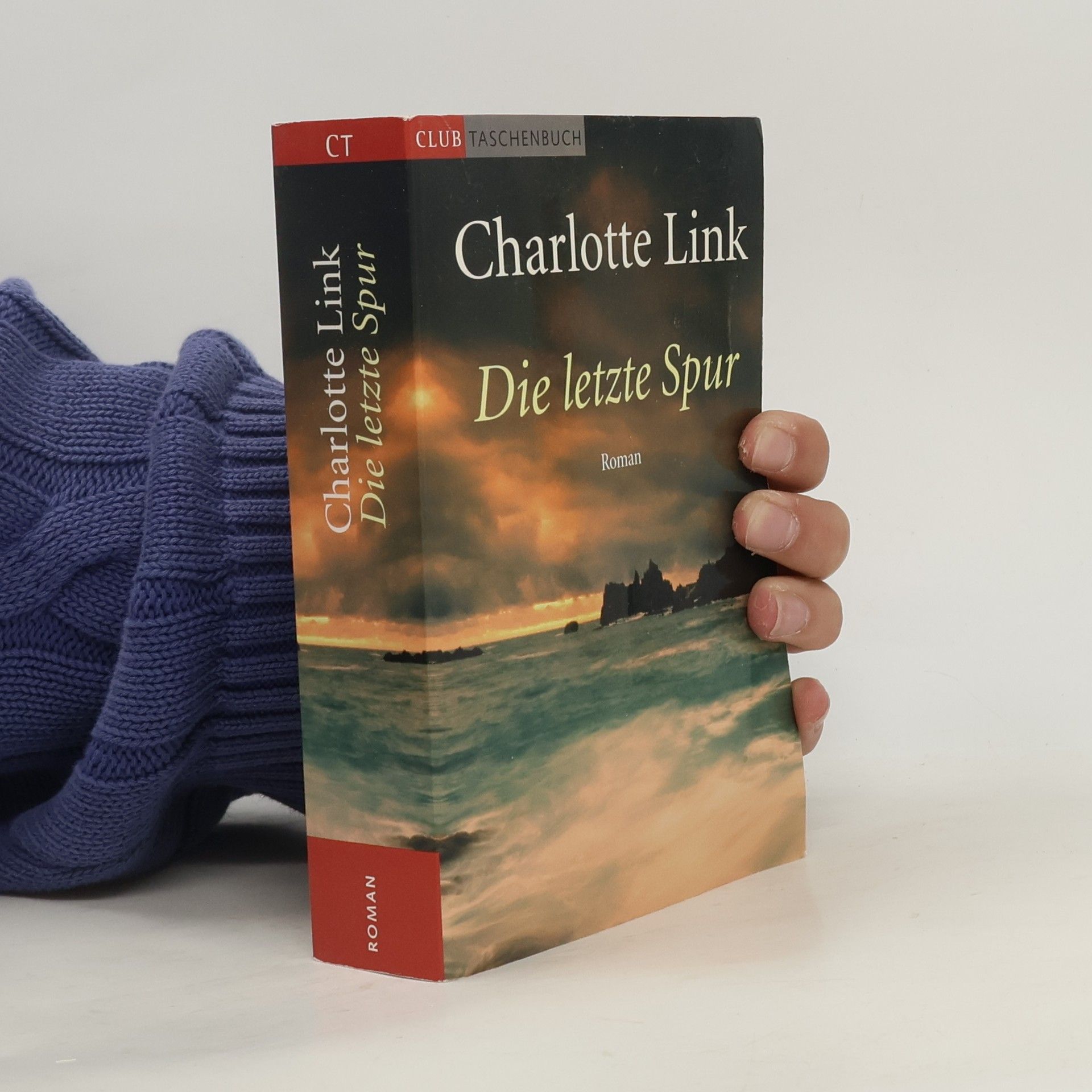 Charlotte Link Die letzte Spur