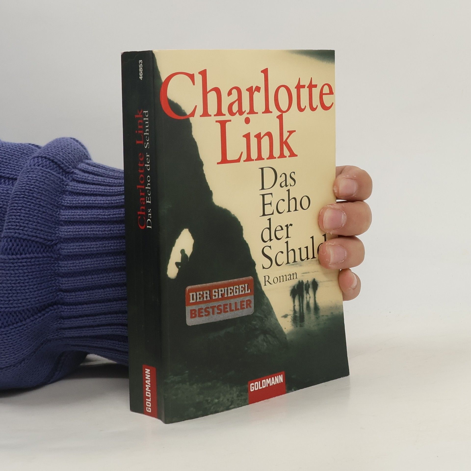 Charlotte Link Das Echo der Schuld