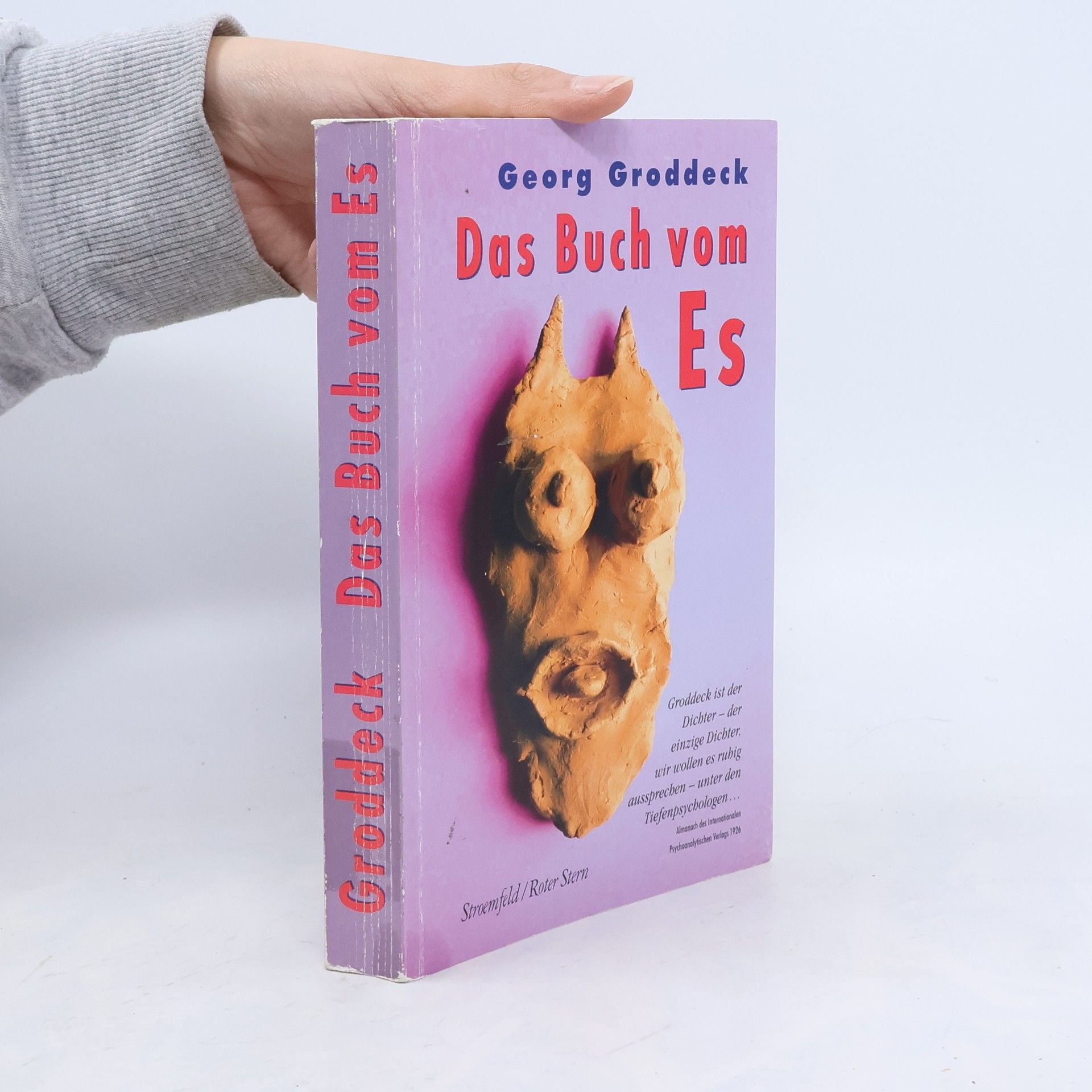 Georg Groddeck Das Buch vom Es