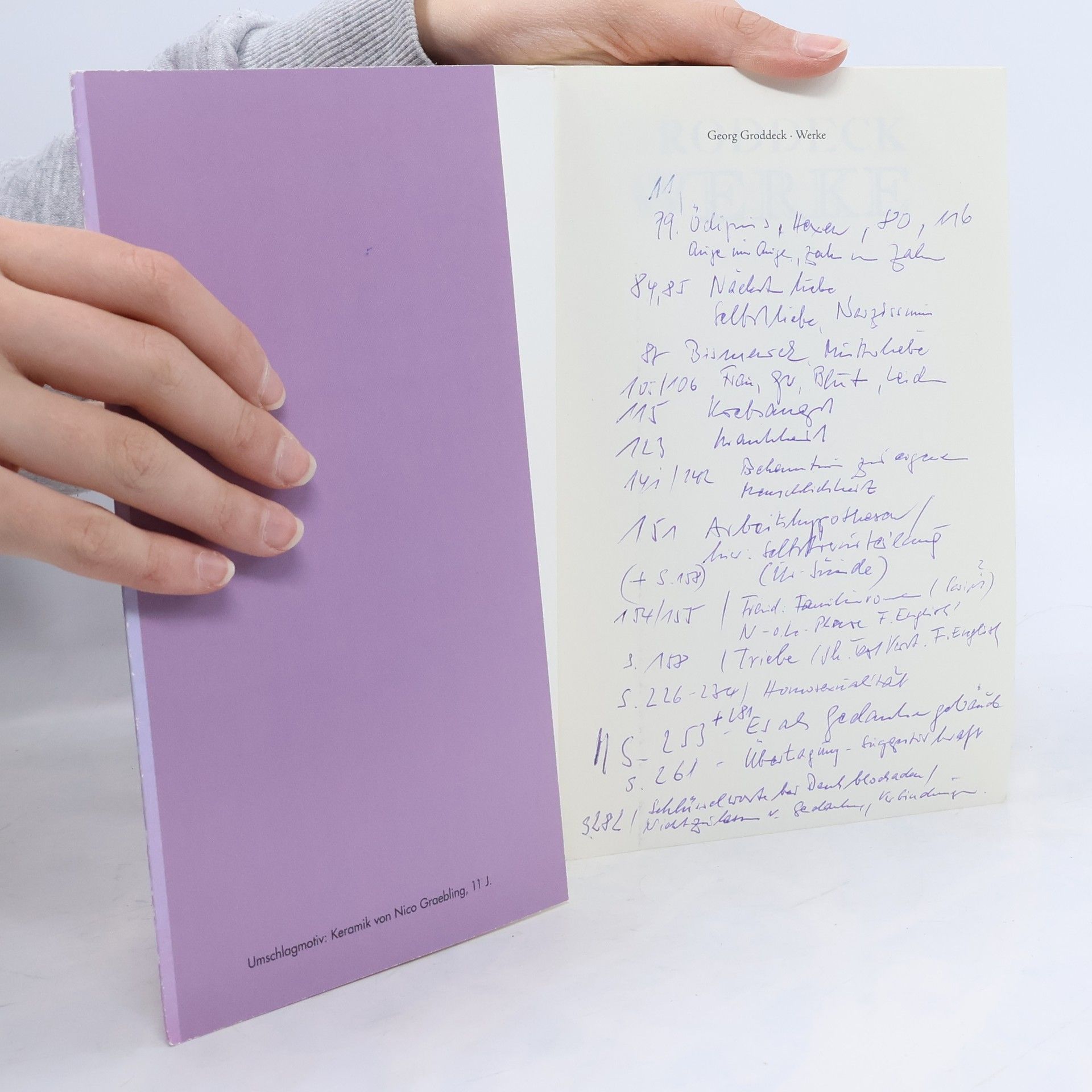 Georg Groddeck Das Buch vom Es