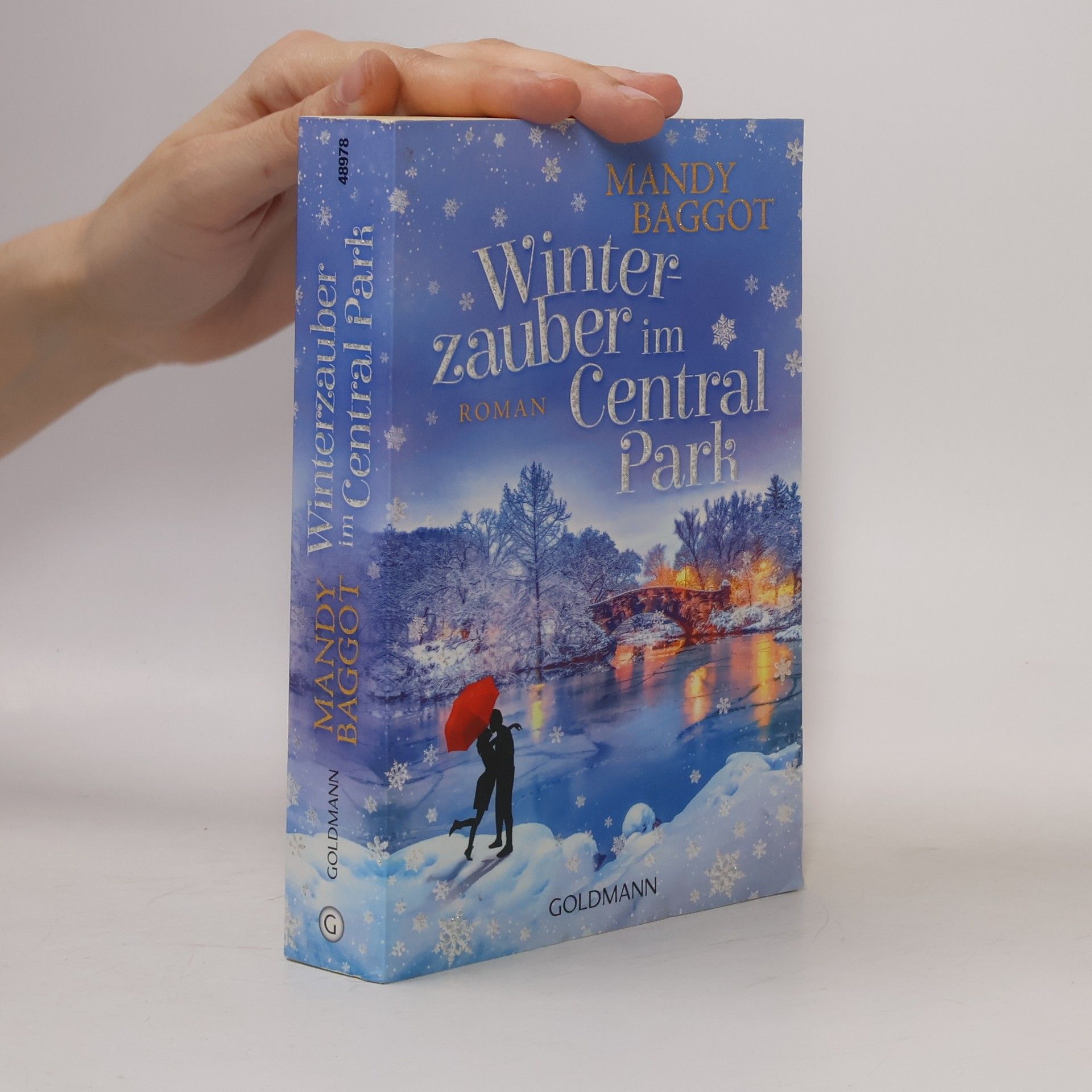 Mandy Baggot Winterzauber im Central Park