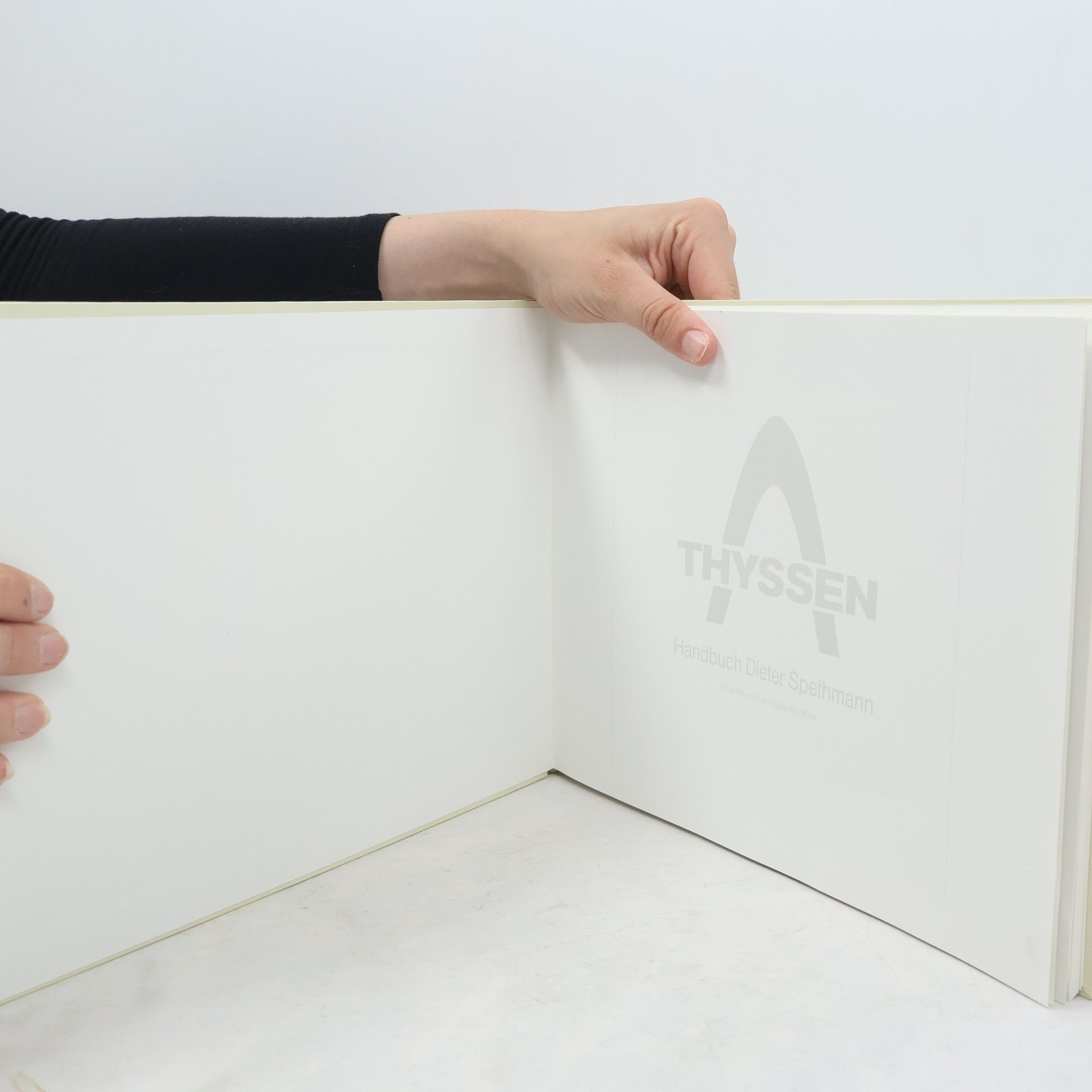 Autores varios Thyssen