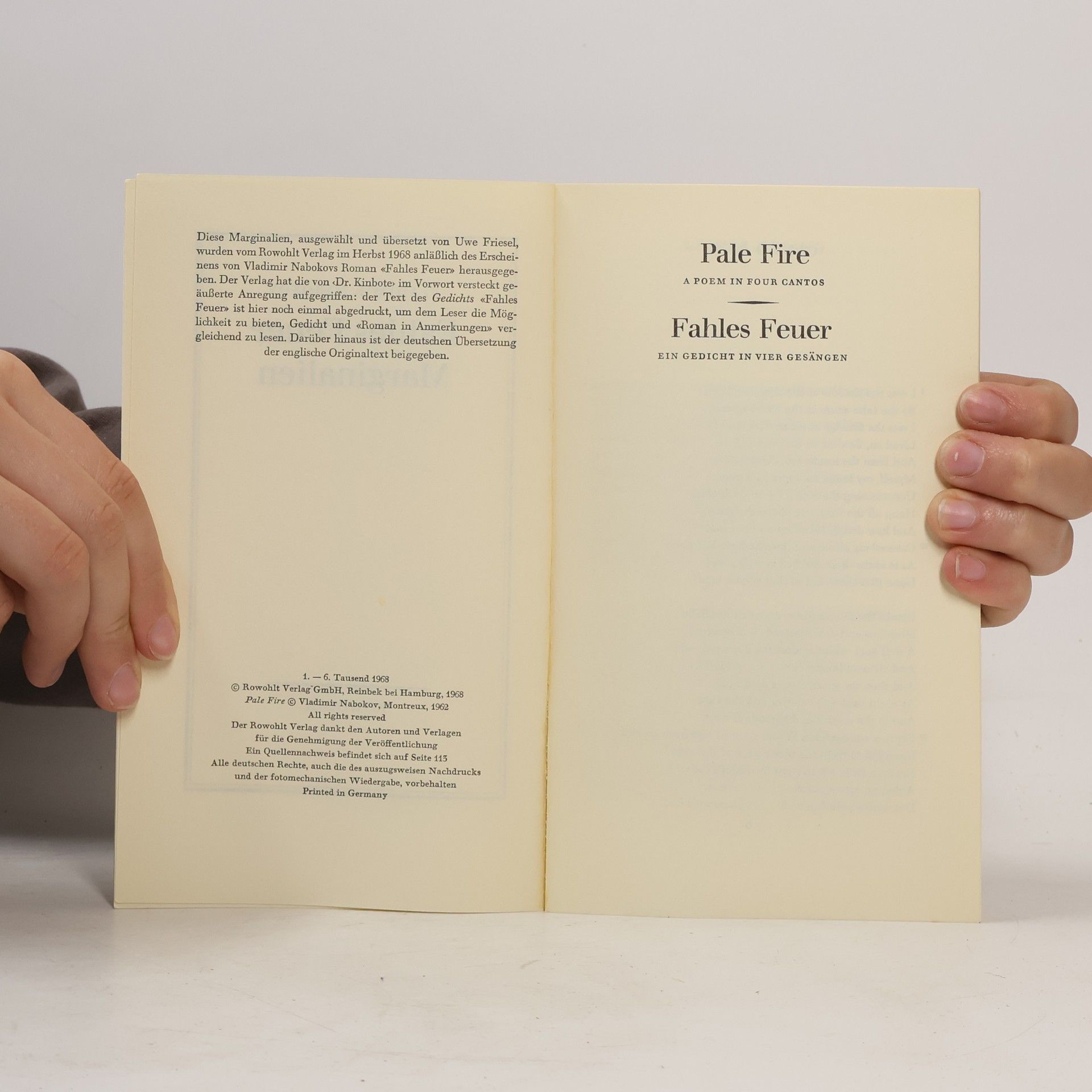 Vladimir Vladimirovič Nabokov Fahles Feuer. Marginalien