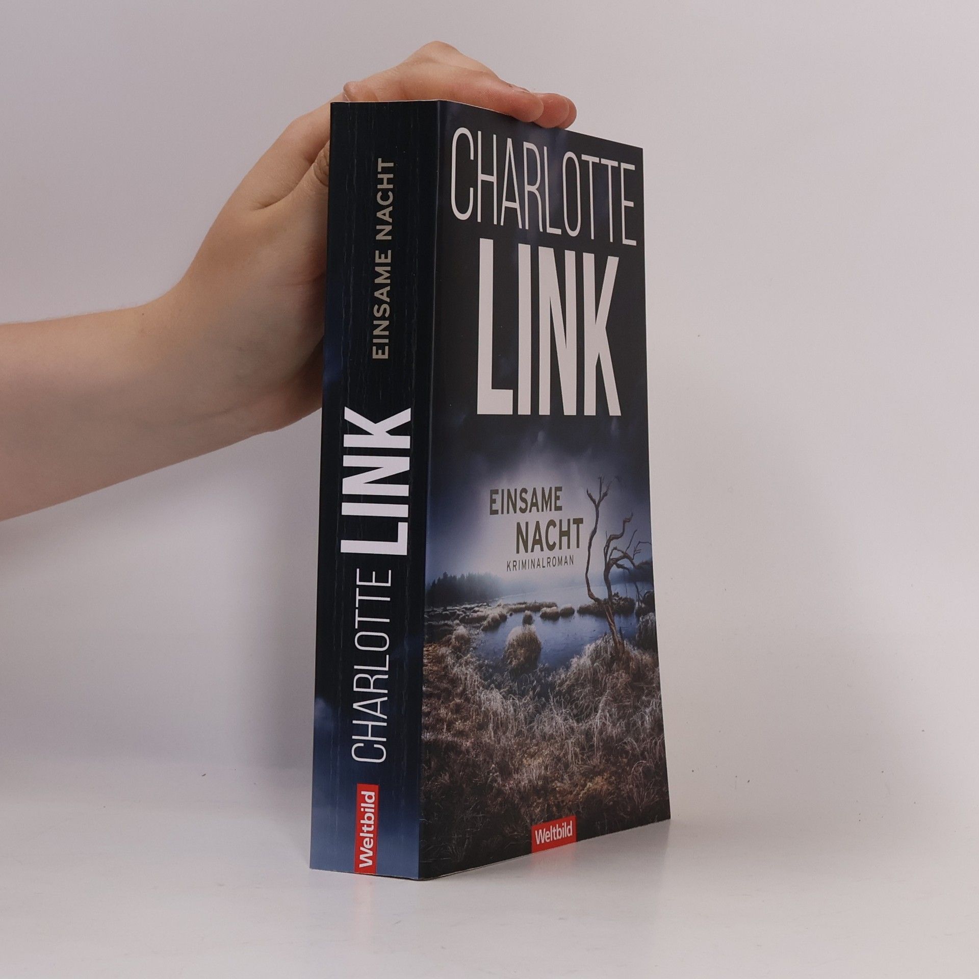 Charlotte Link Einsame Nacht