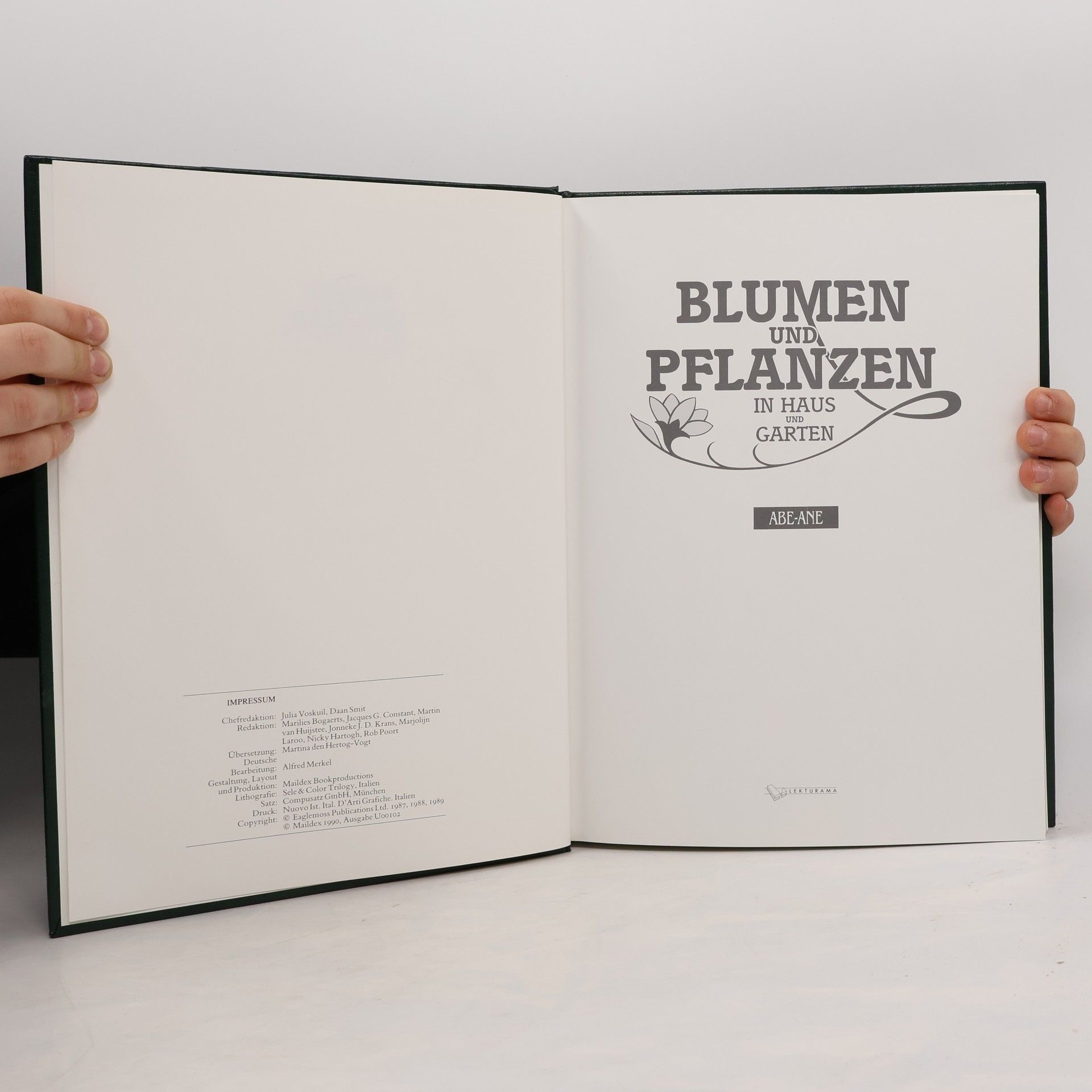 Julia Voskuil Blumen und Pflanzen in Haus und Garten