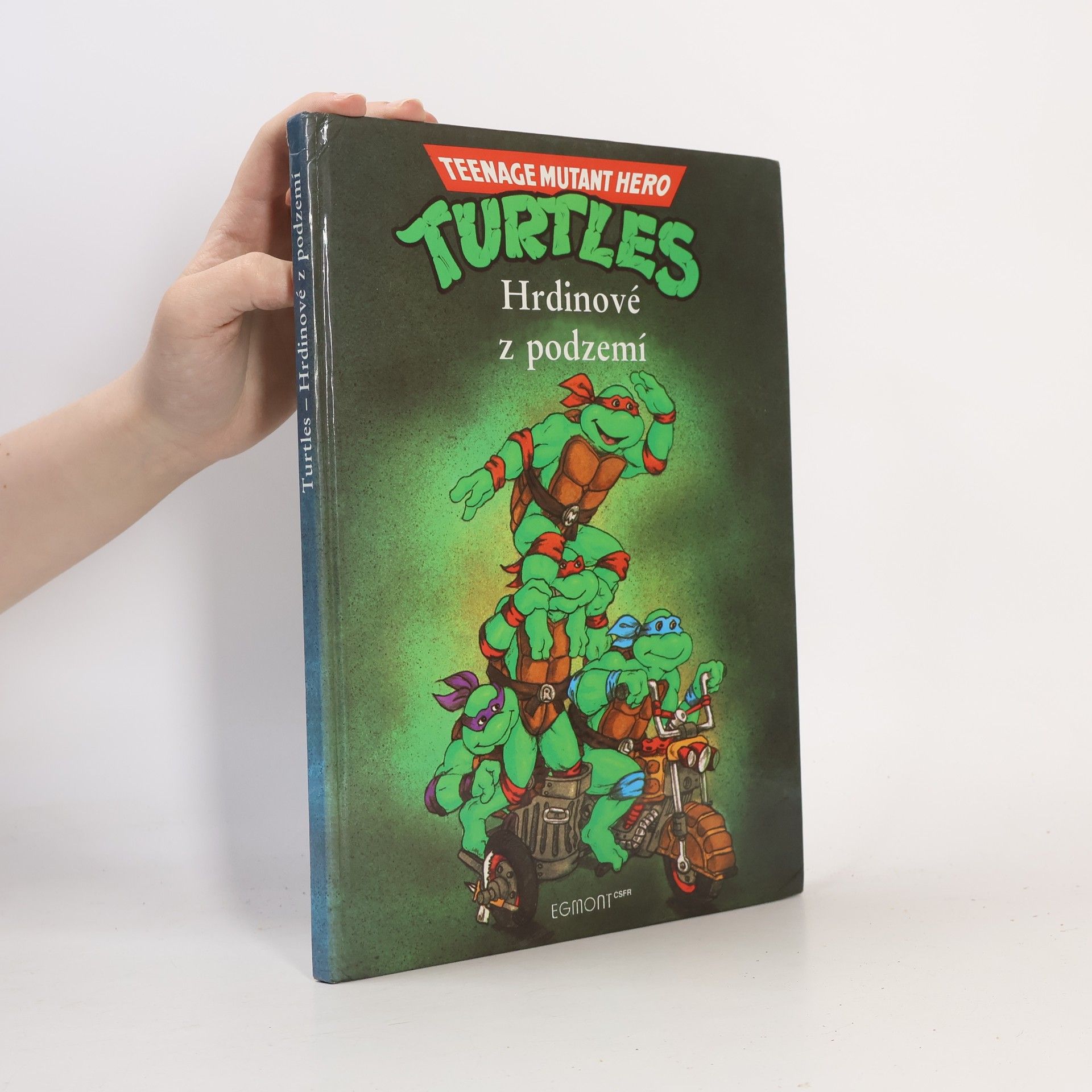 Maureen Spurgeon Teenage Mutant Ninja Turtles. Hrdinové z podzemí