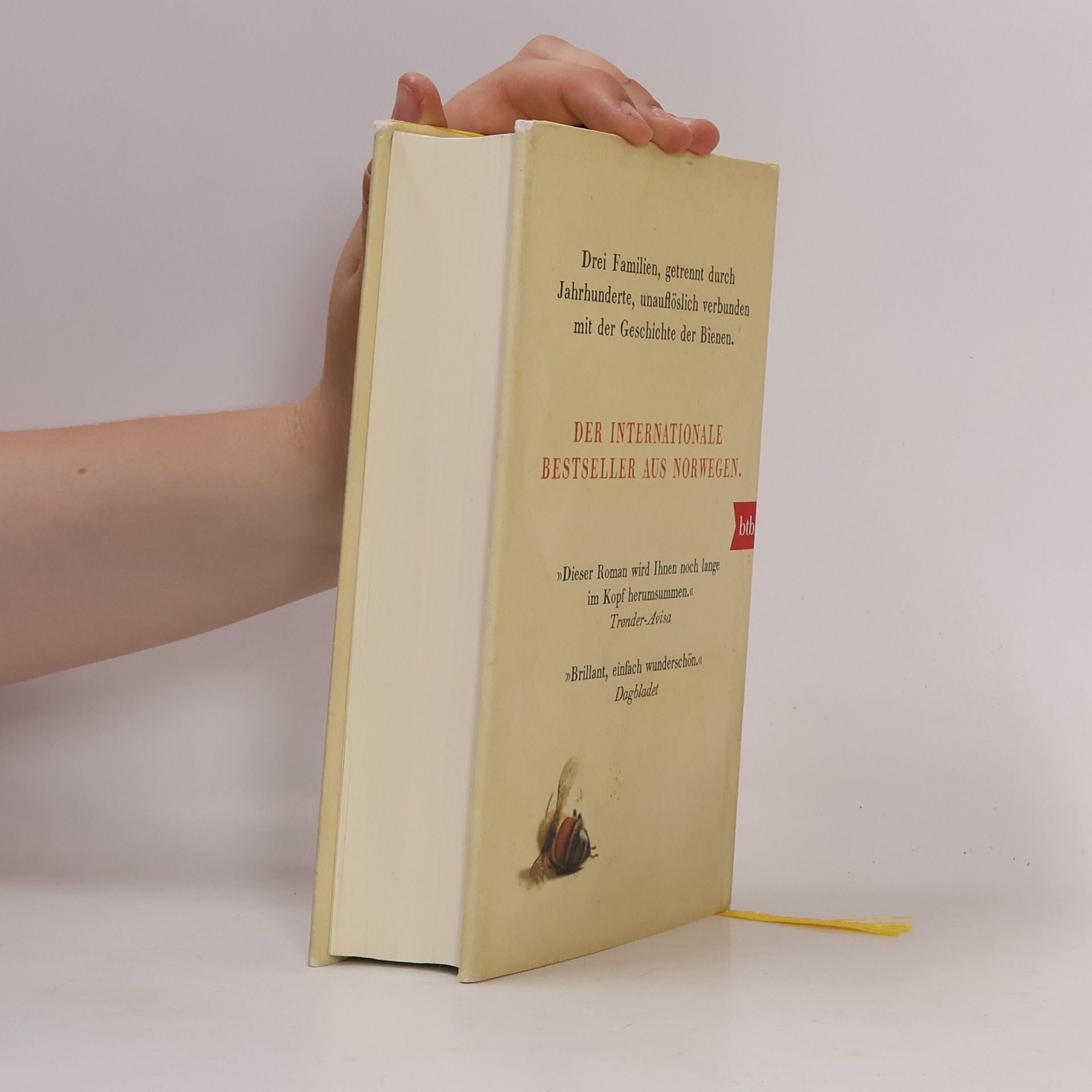 Maja Lunde Die Geschichte der Bienen