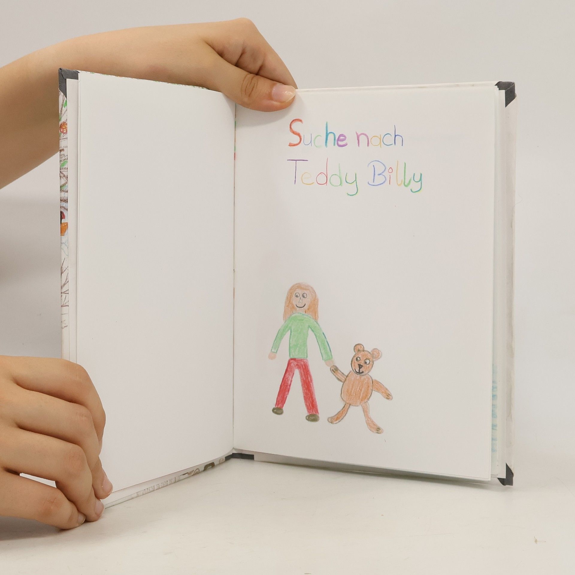 Autorenkollektiv Suche nach Teddy Billy