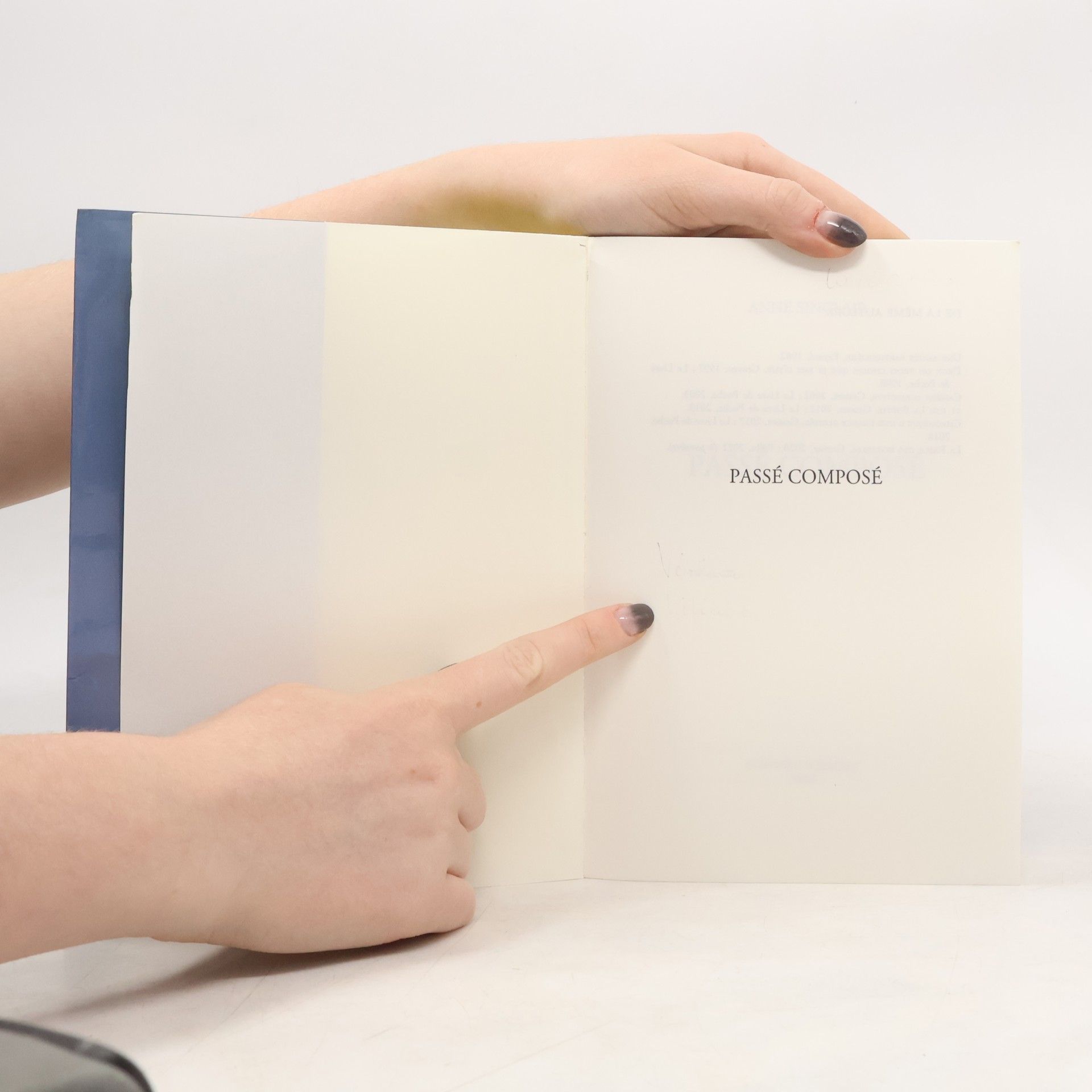 Anne Sinclair Passé composé
