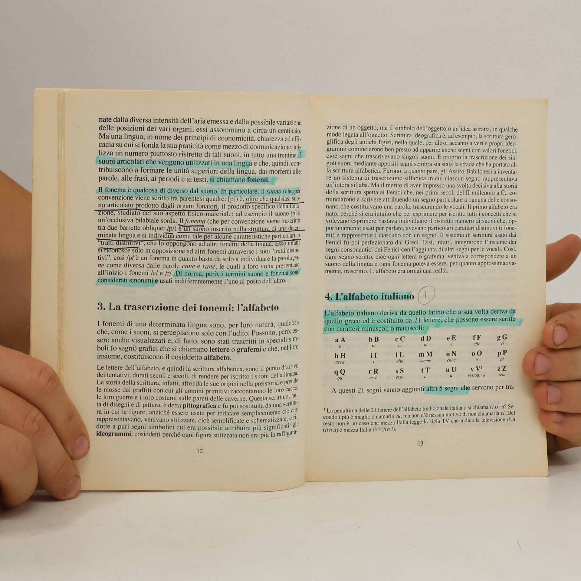 Marcello Sensini Oscar Guide: Grammatica della lingua italiana