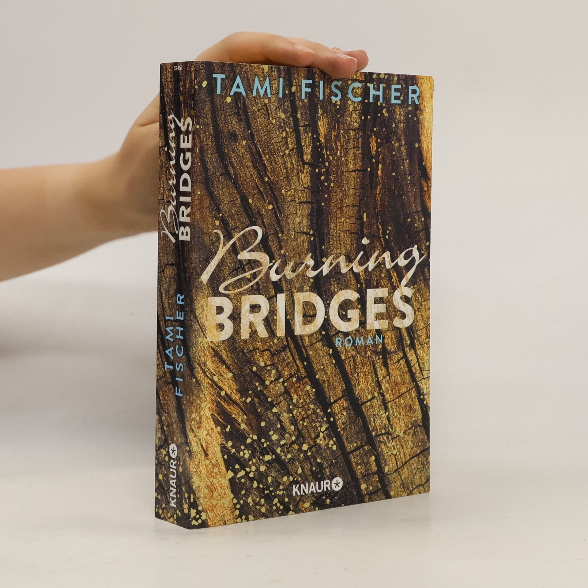 Tami Fischer Burning bridges
