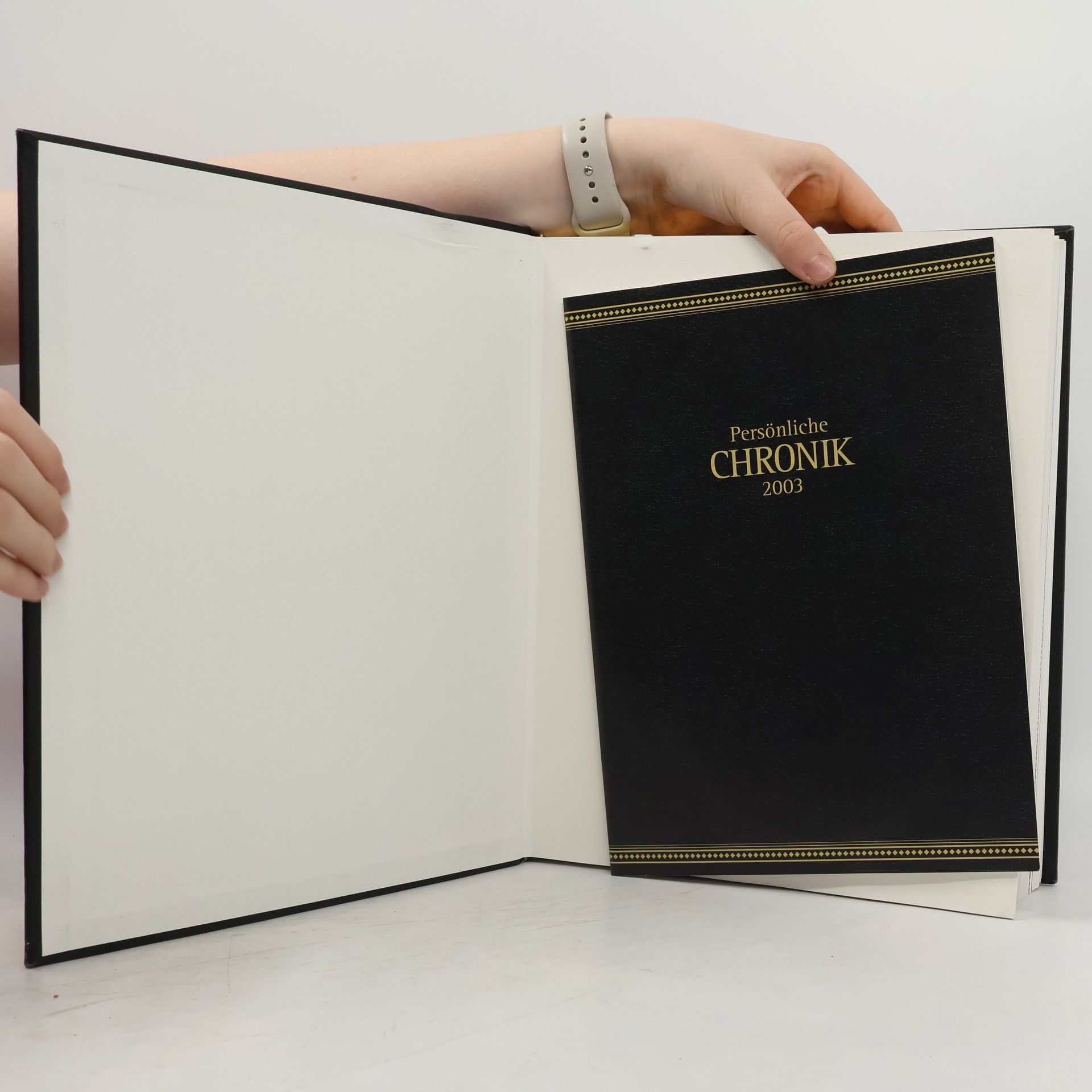 Kolektiv autorů Brockhaus Chronik des Jahrhunderts: 2002