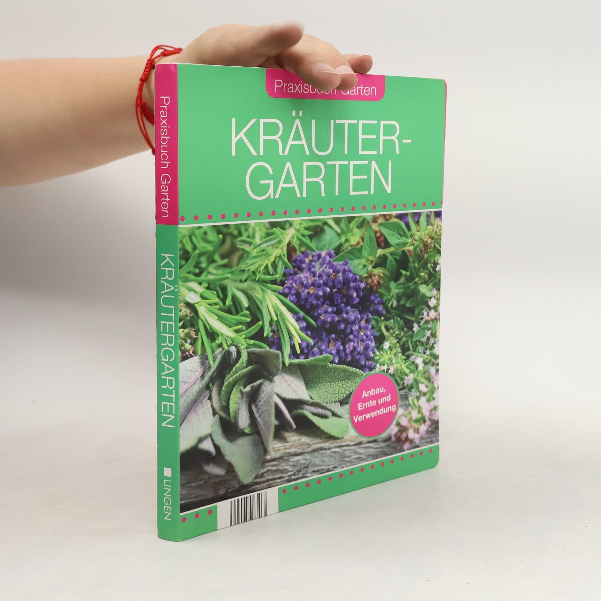 Autorenkollektiv Praxisbuch Garten. Kräutergarten