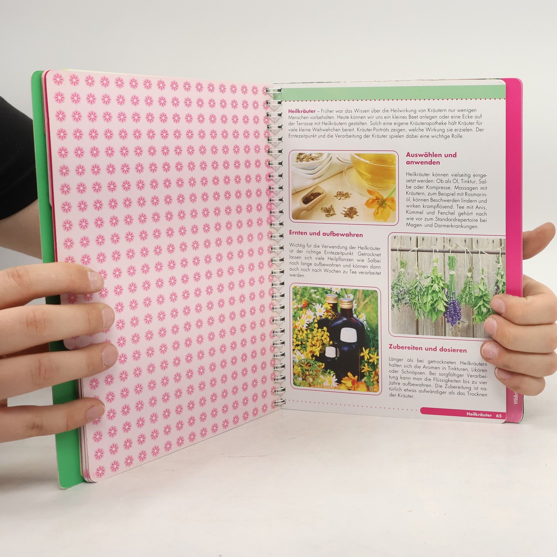 Autorenkollektiv Praxisbuch Garten. Kräutergarten