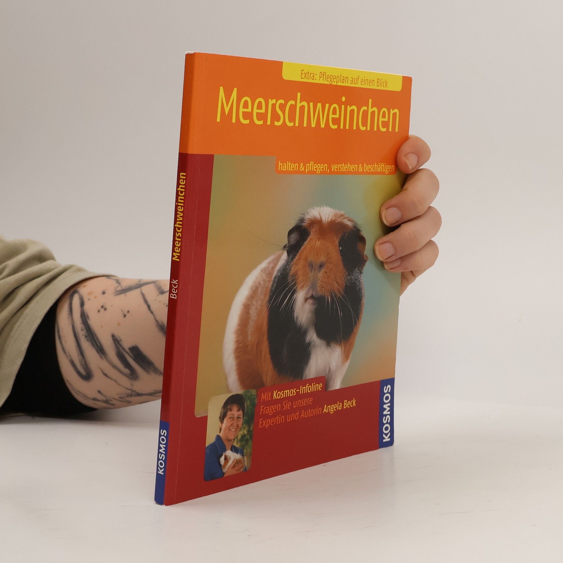 Angela Beck Meerschweinchen