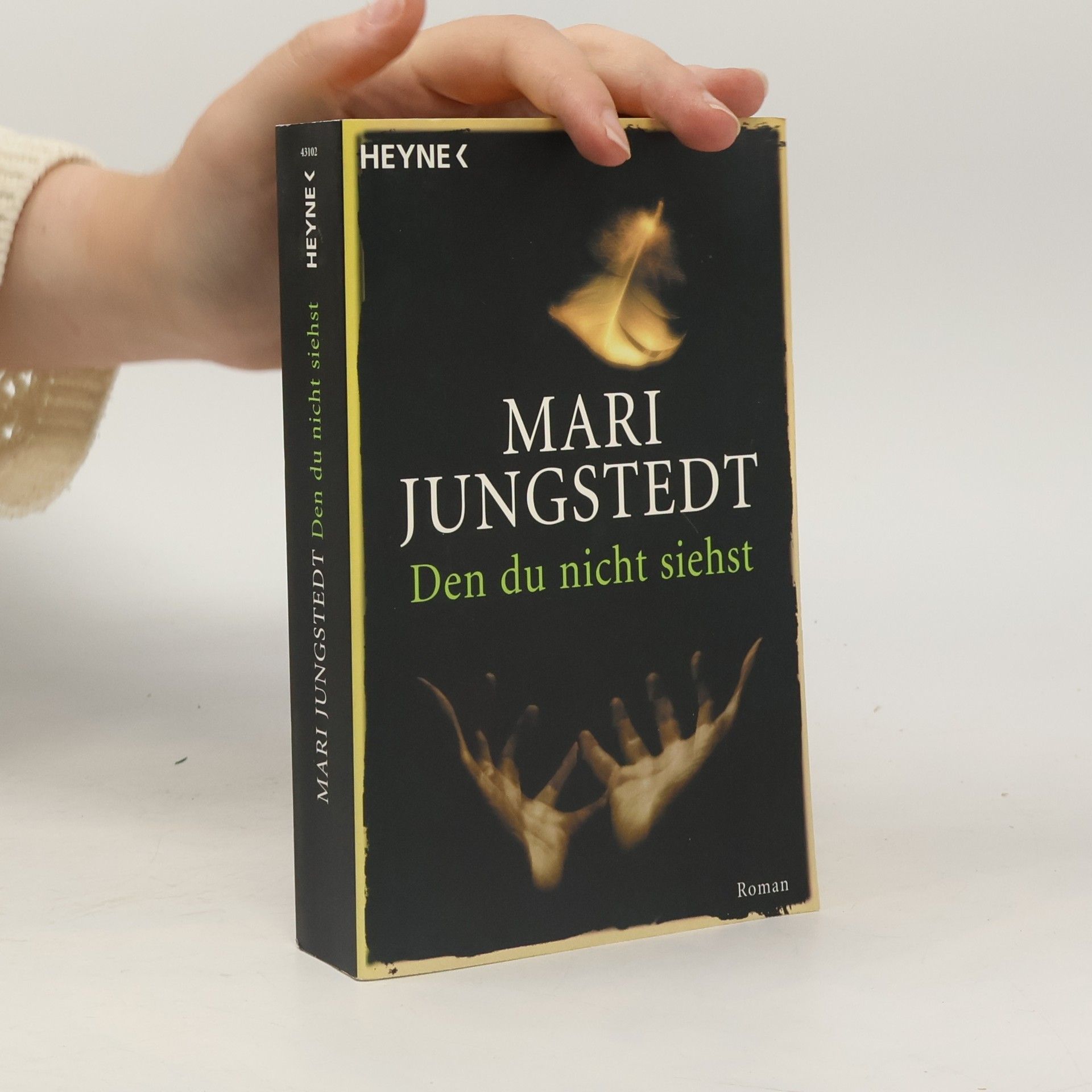 Mari Jungstedt Den du nicht siehst