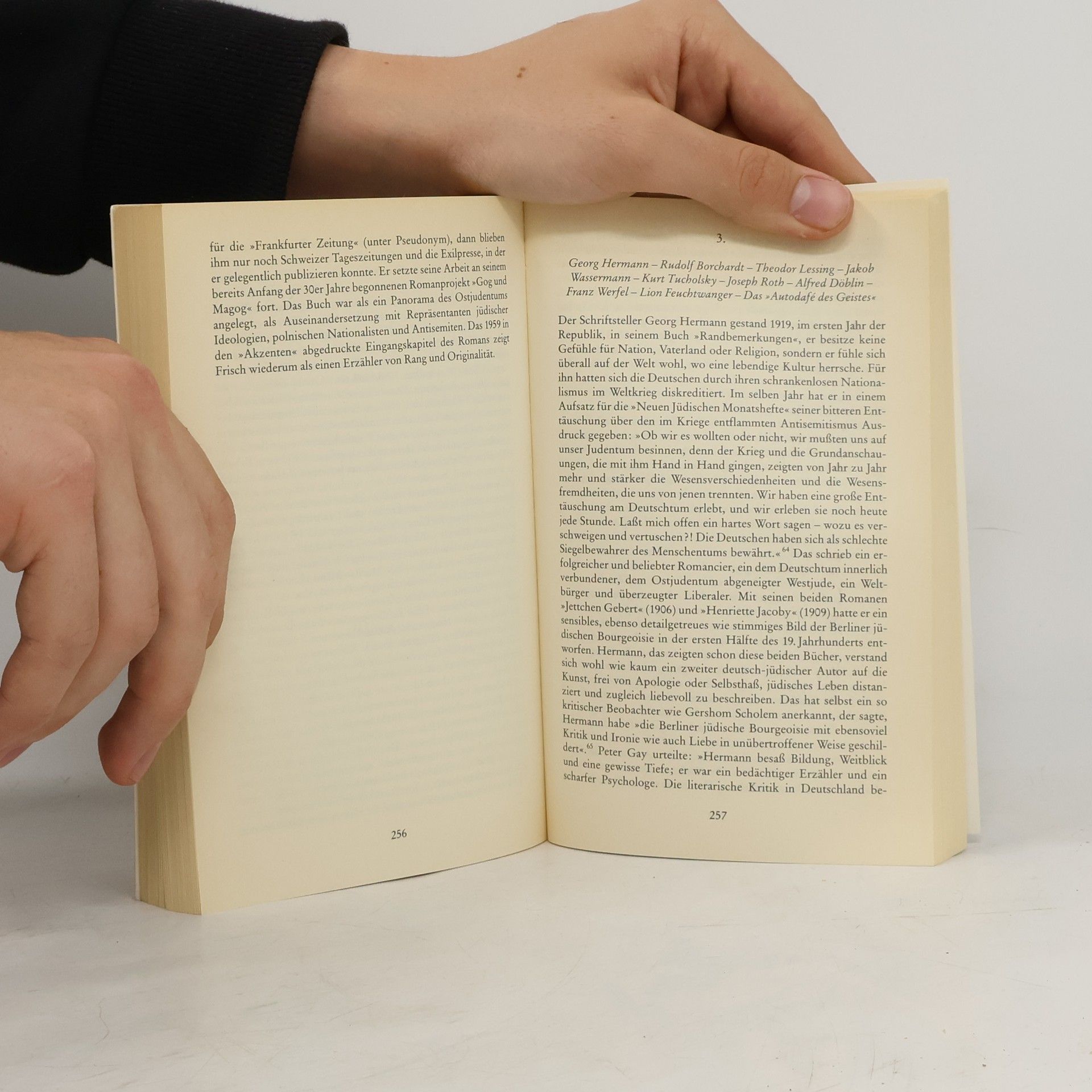 Hans J. Schütz Serie Piper - 1520: Juden in der deutschen Literatur
