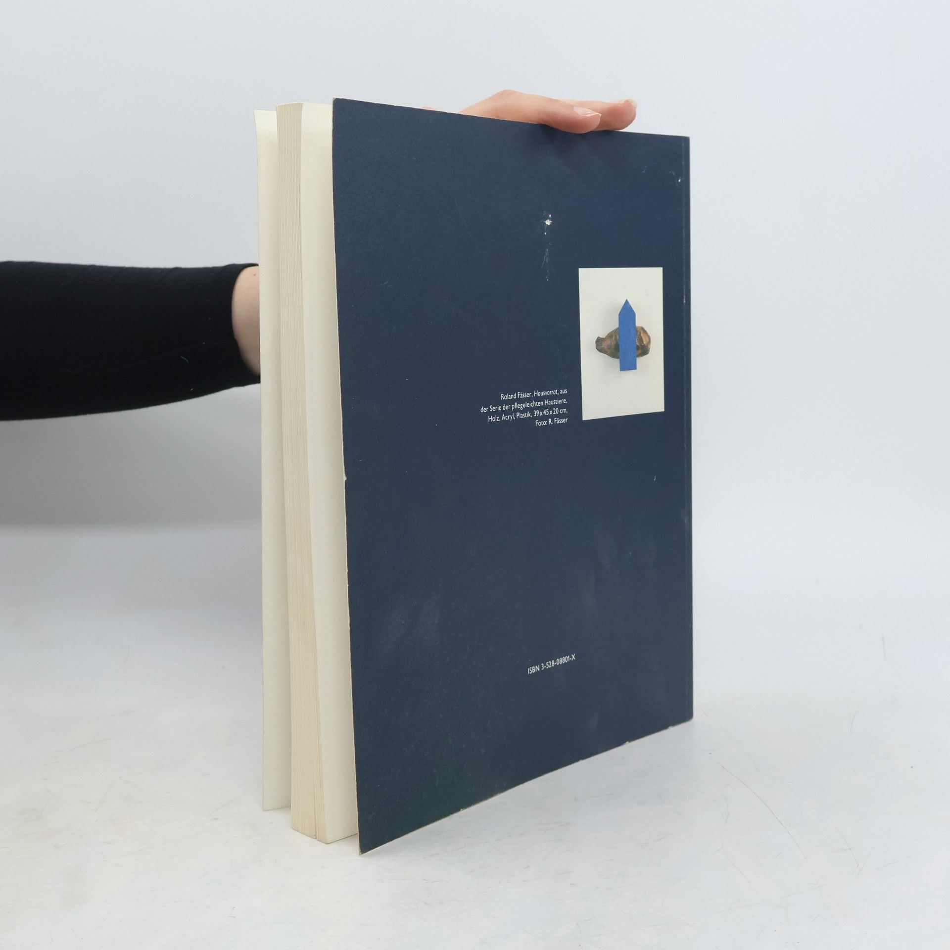 Peter Neitzke Centrum. Jahrbuch Architektur und Stadt 1992