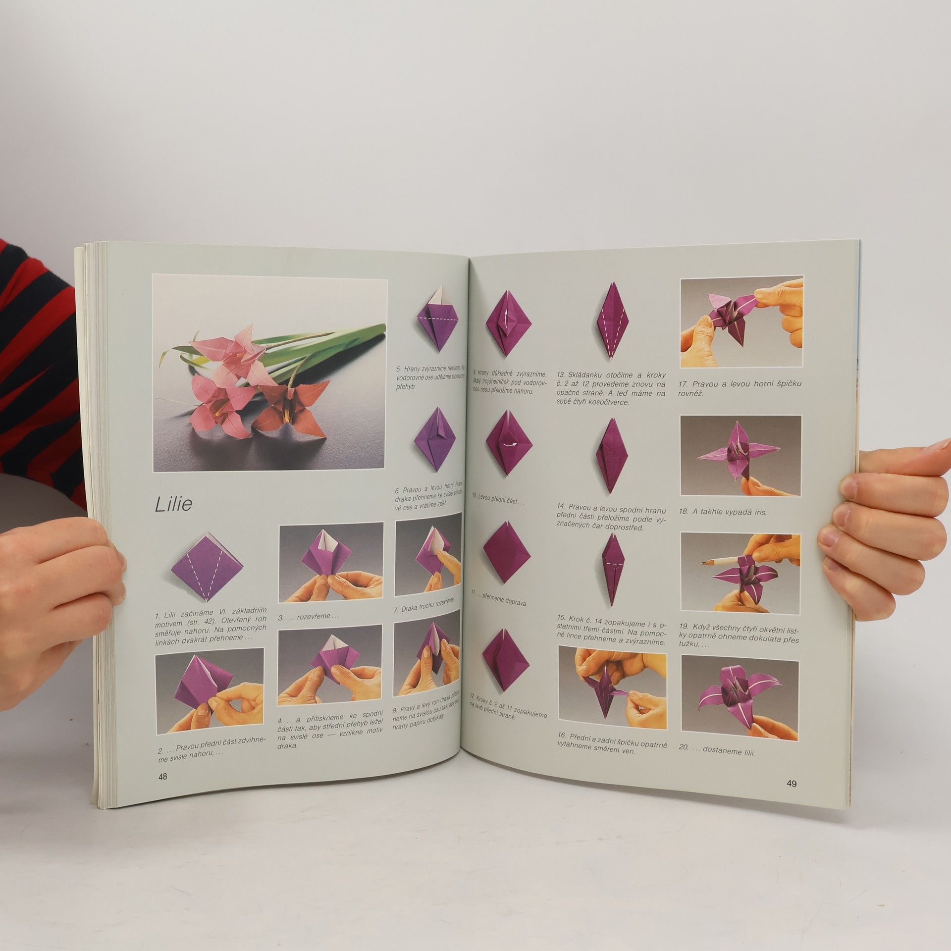 Zülal AytüreScheele Hobby origami