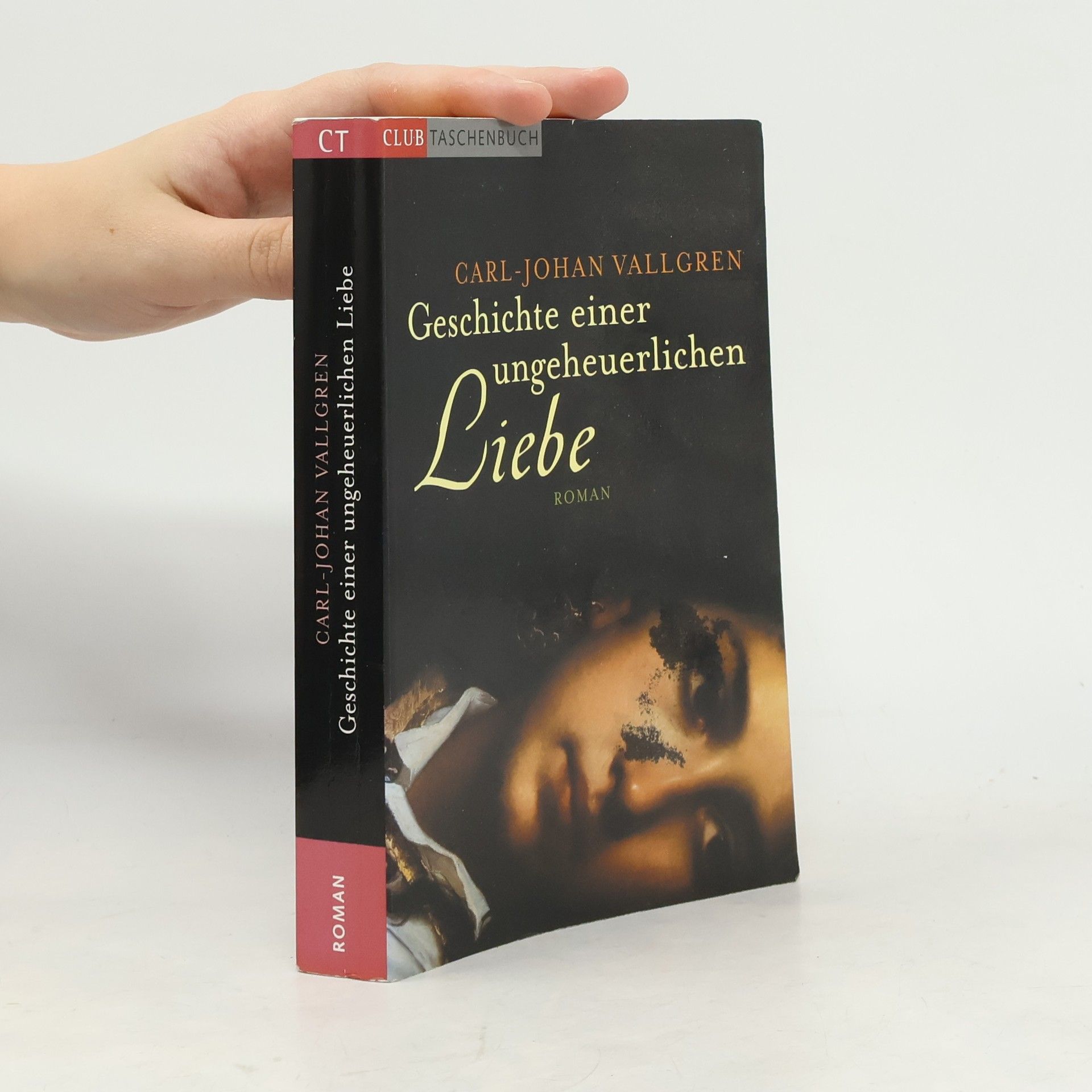 Carl Johan Vallgren Geschichte einer ungeheuerlichen Liebe