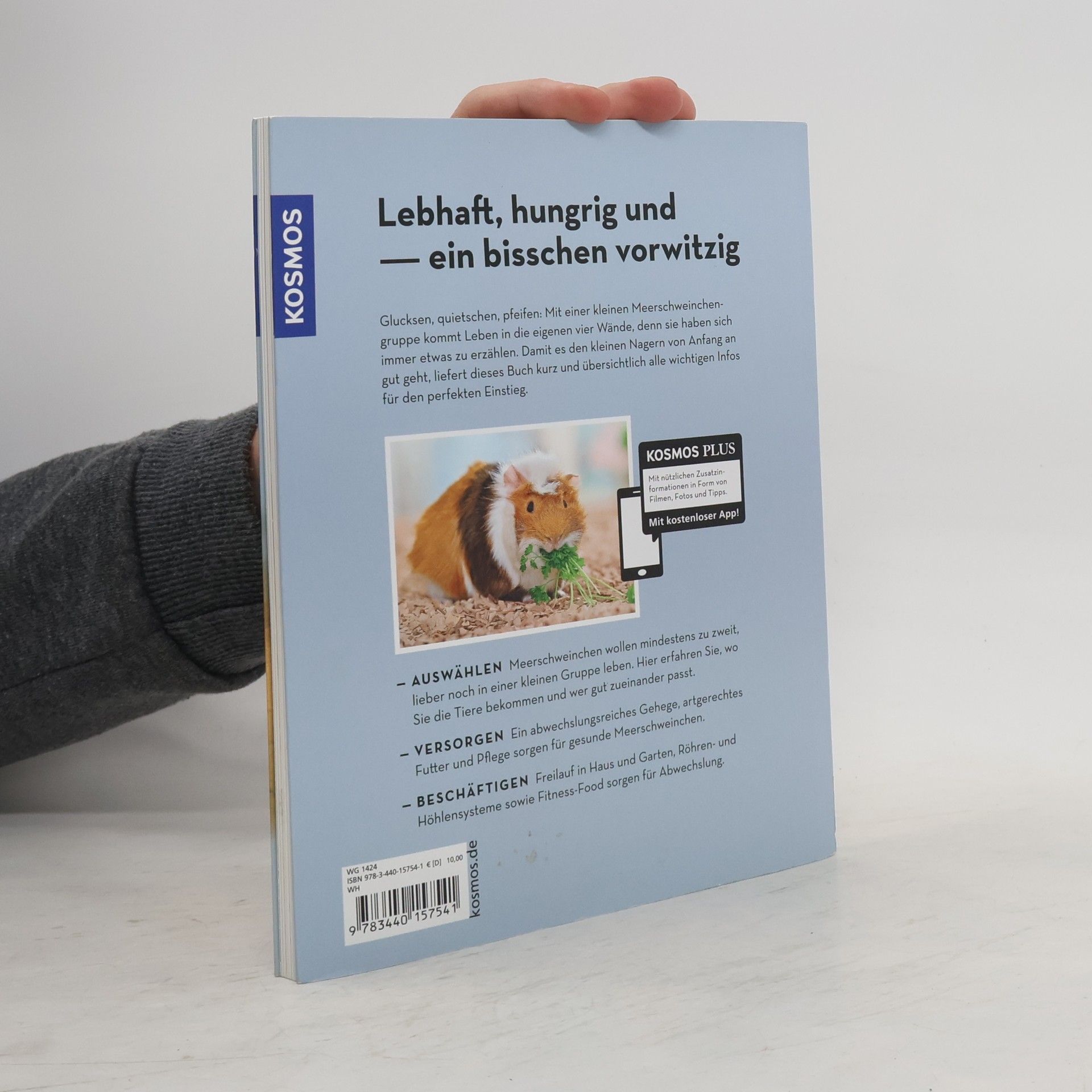 Angela Beck Meerschweinchen