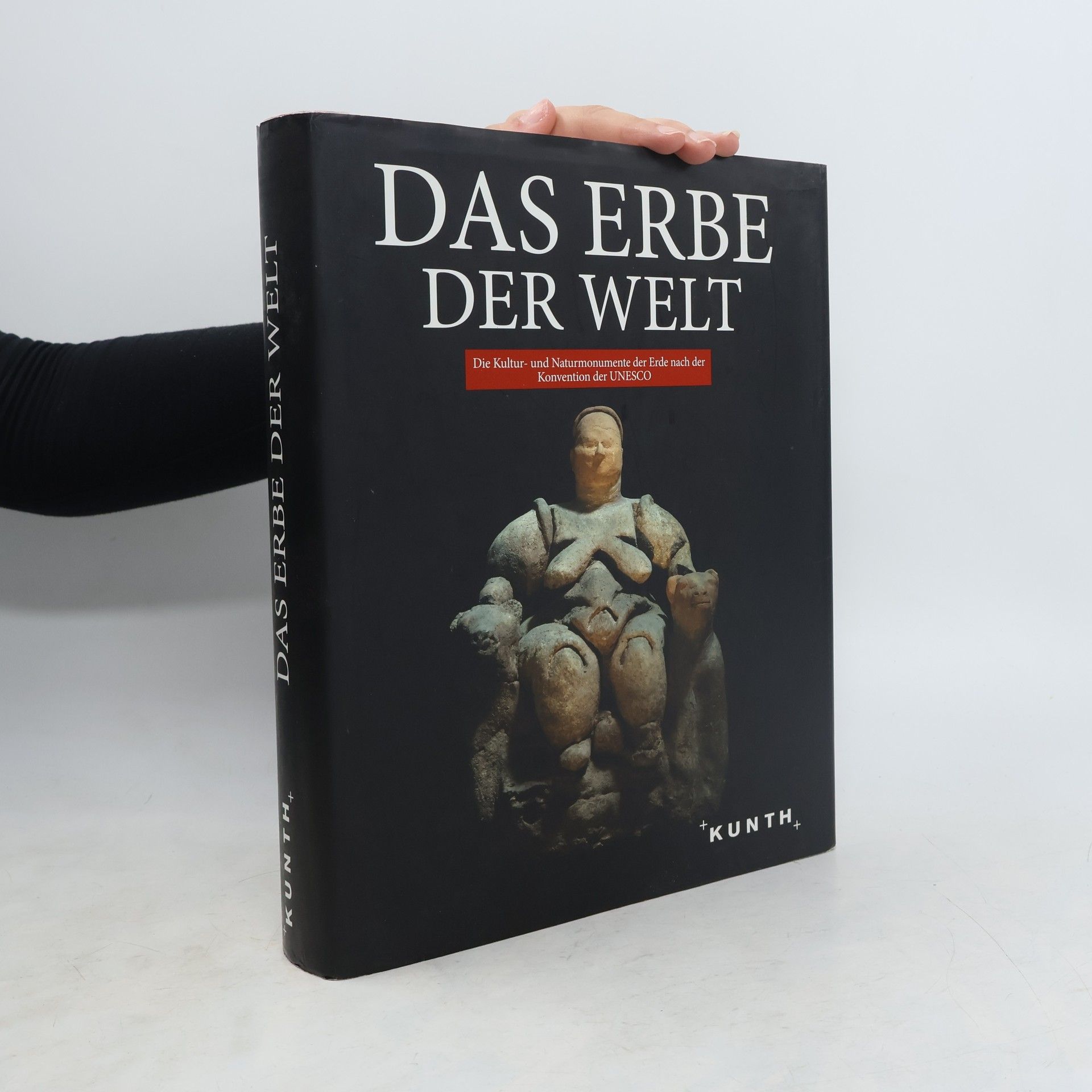 Robert Fischer Das Erbe der Welt