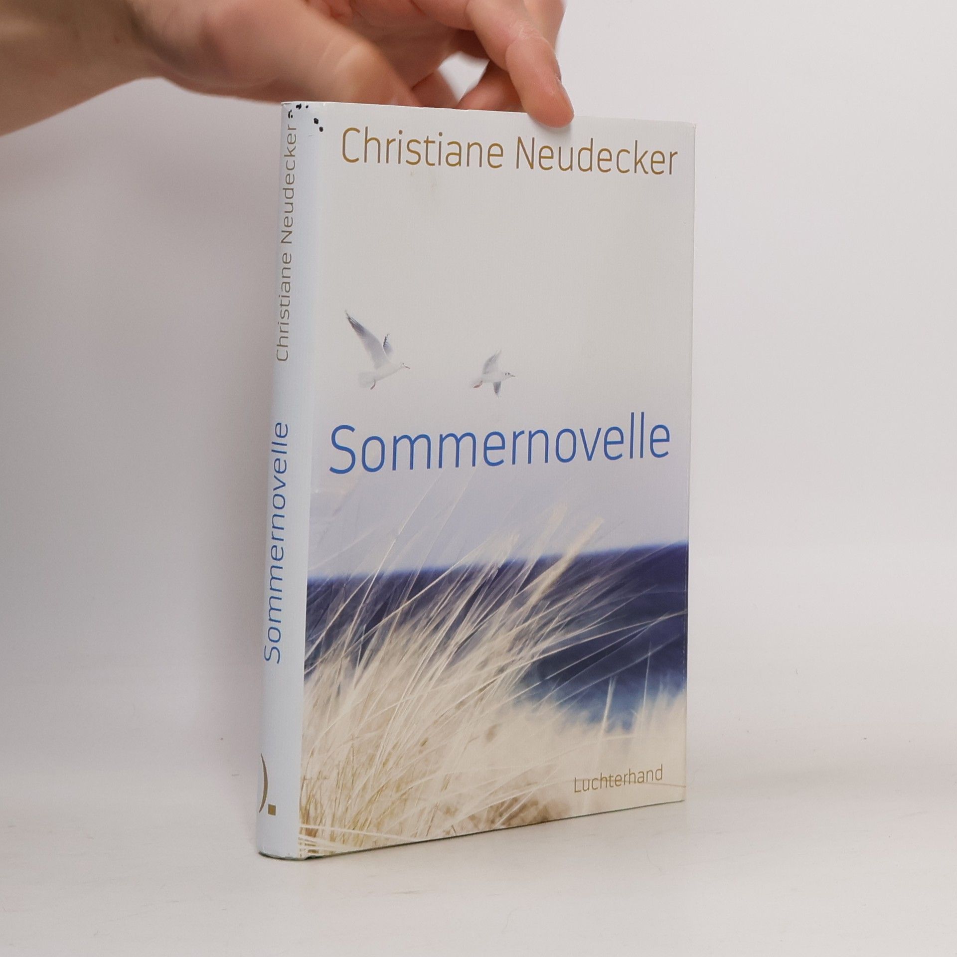 Christiane Neudecker Sommernovelle