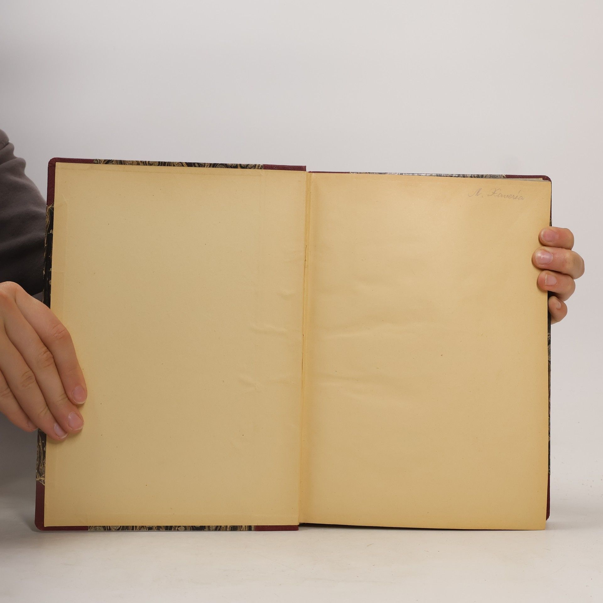 Ludwig Klages Handschrift und Charakter