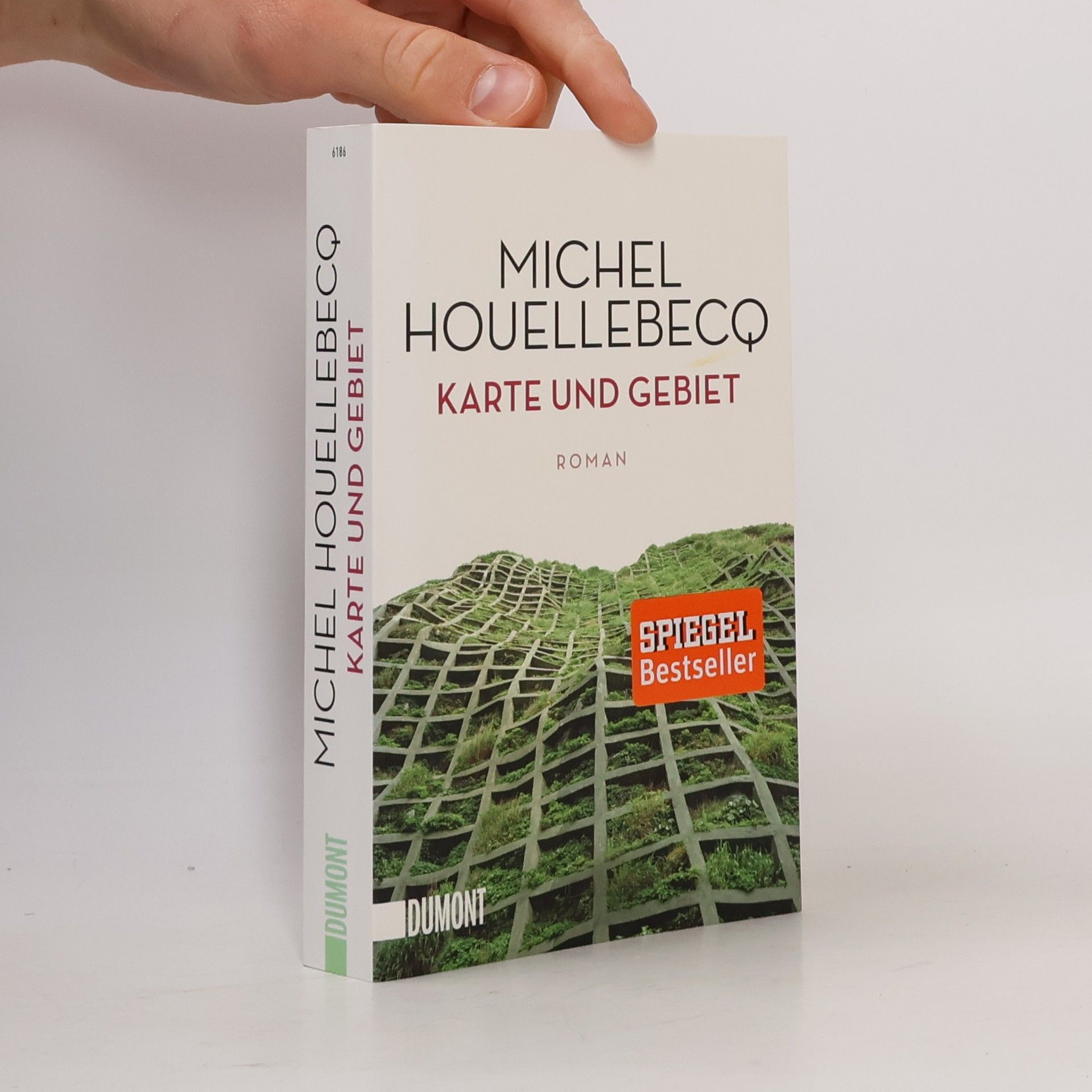 Michel Houellebecq Karte und Gebiet