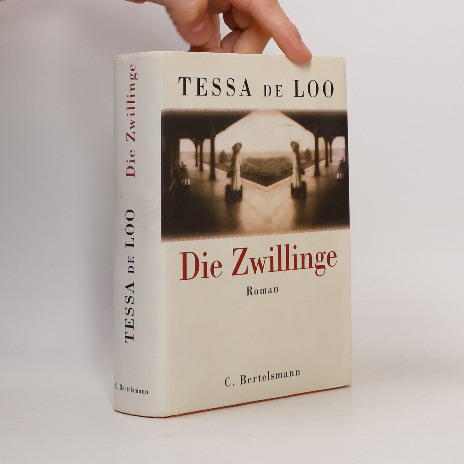 Tessa de Loo Die Zwillinge