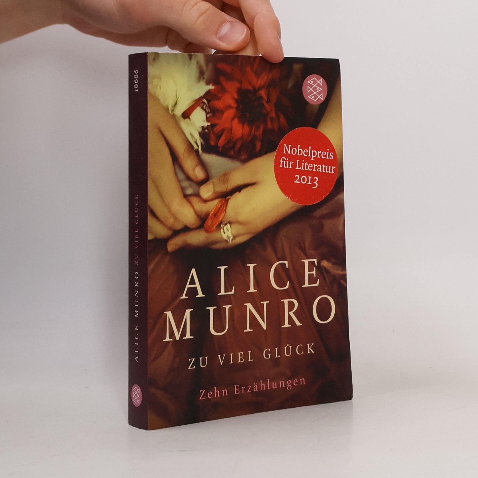 Alice Munro Zu viel Glück. zehn erzählungen