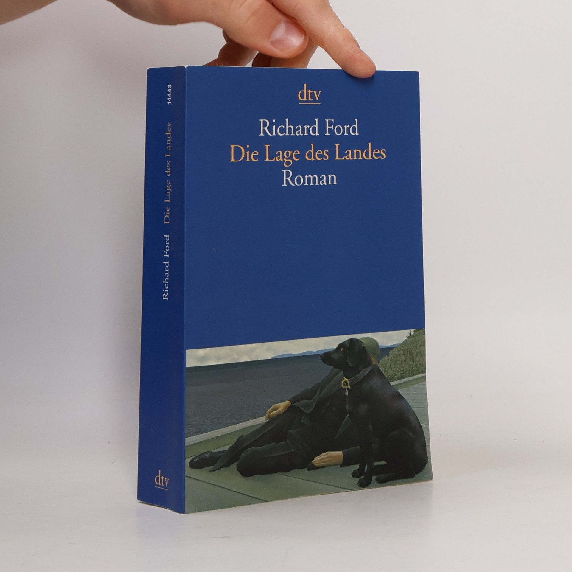Richard Ford Die Lage des Landes